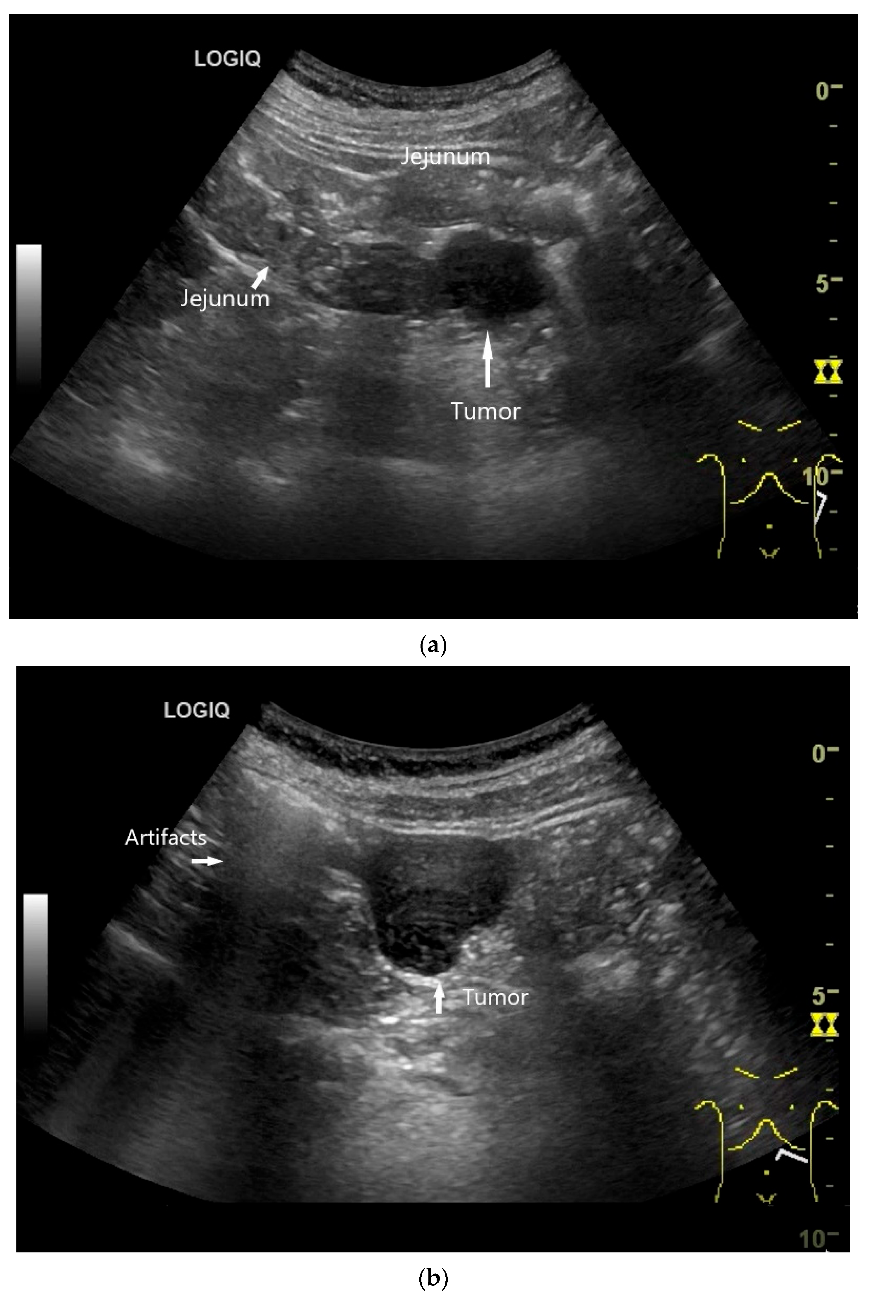 Healthcare 13 02776 g012a