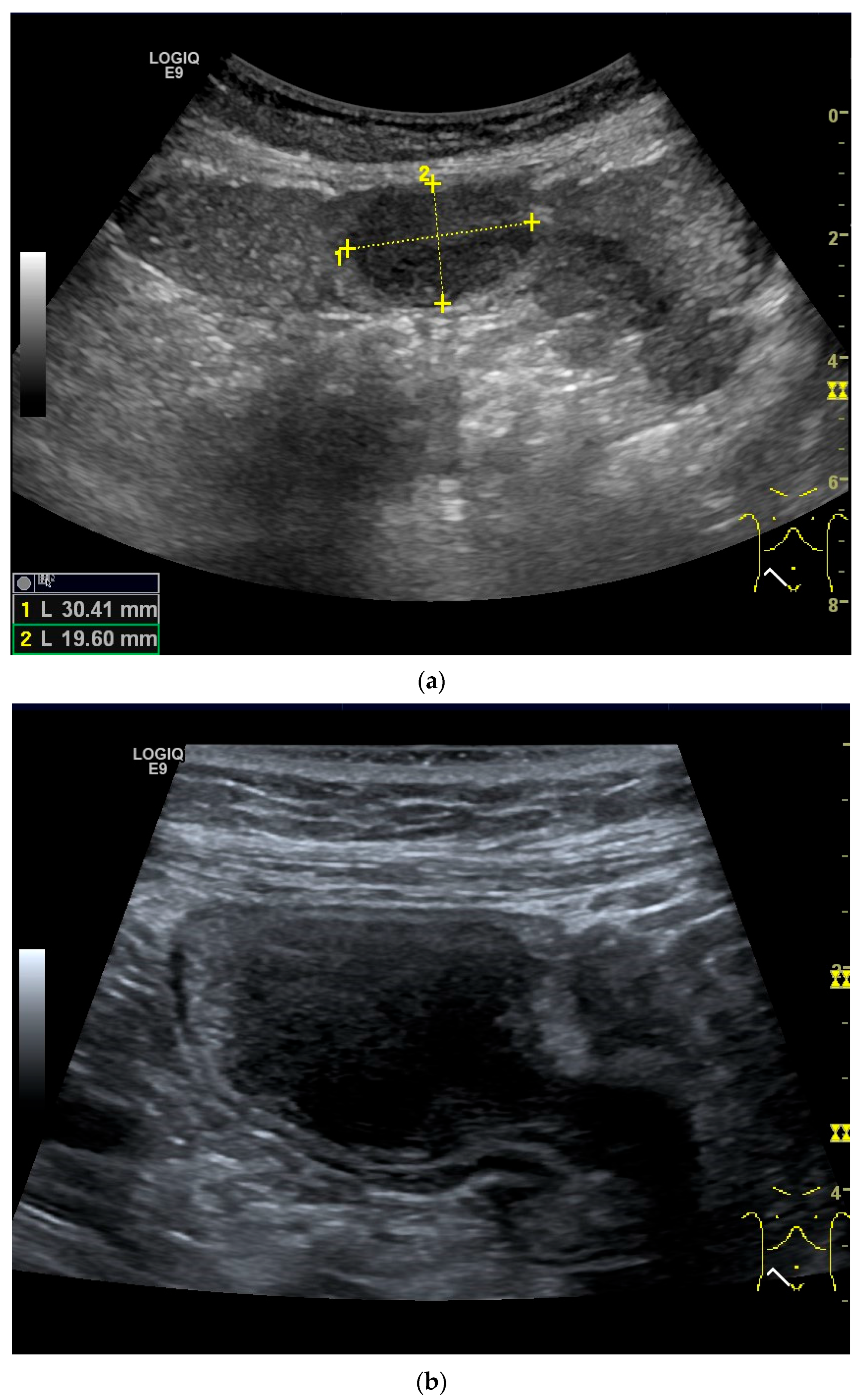 Healthcare 13 02776 g013a