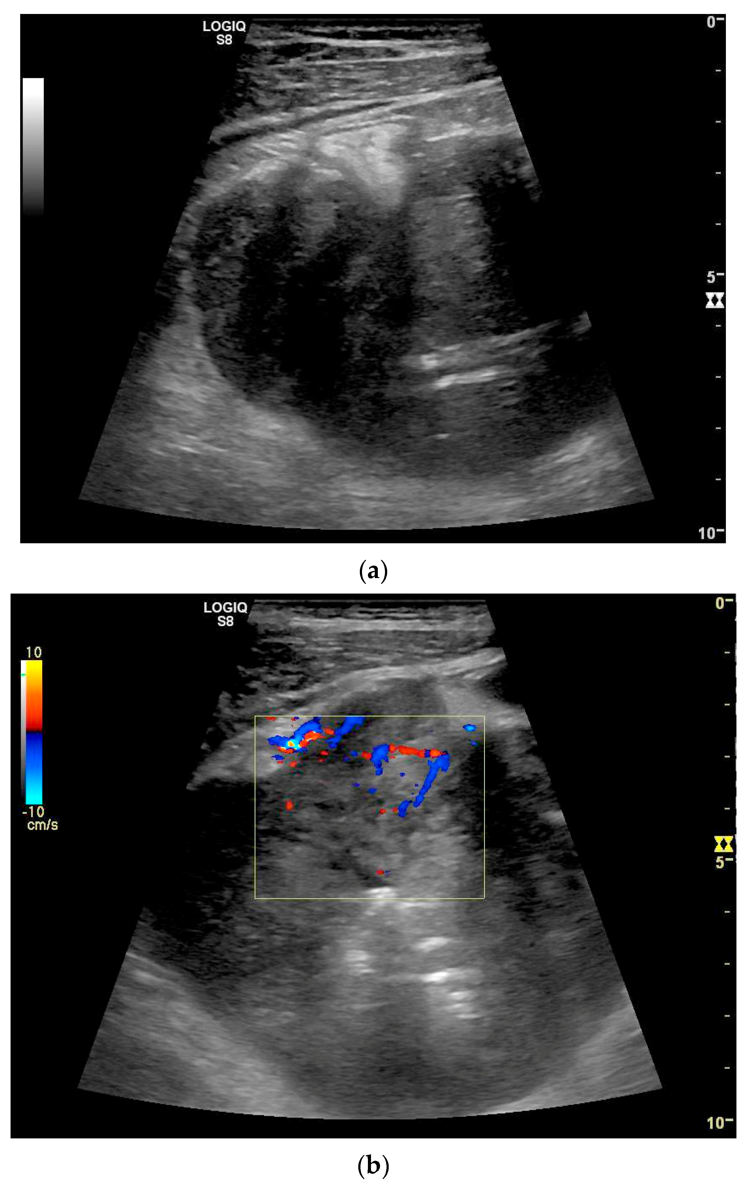 Healthcare 13 02776 g014