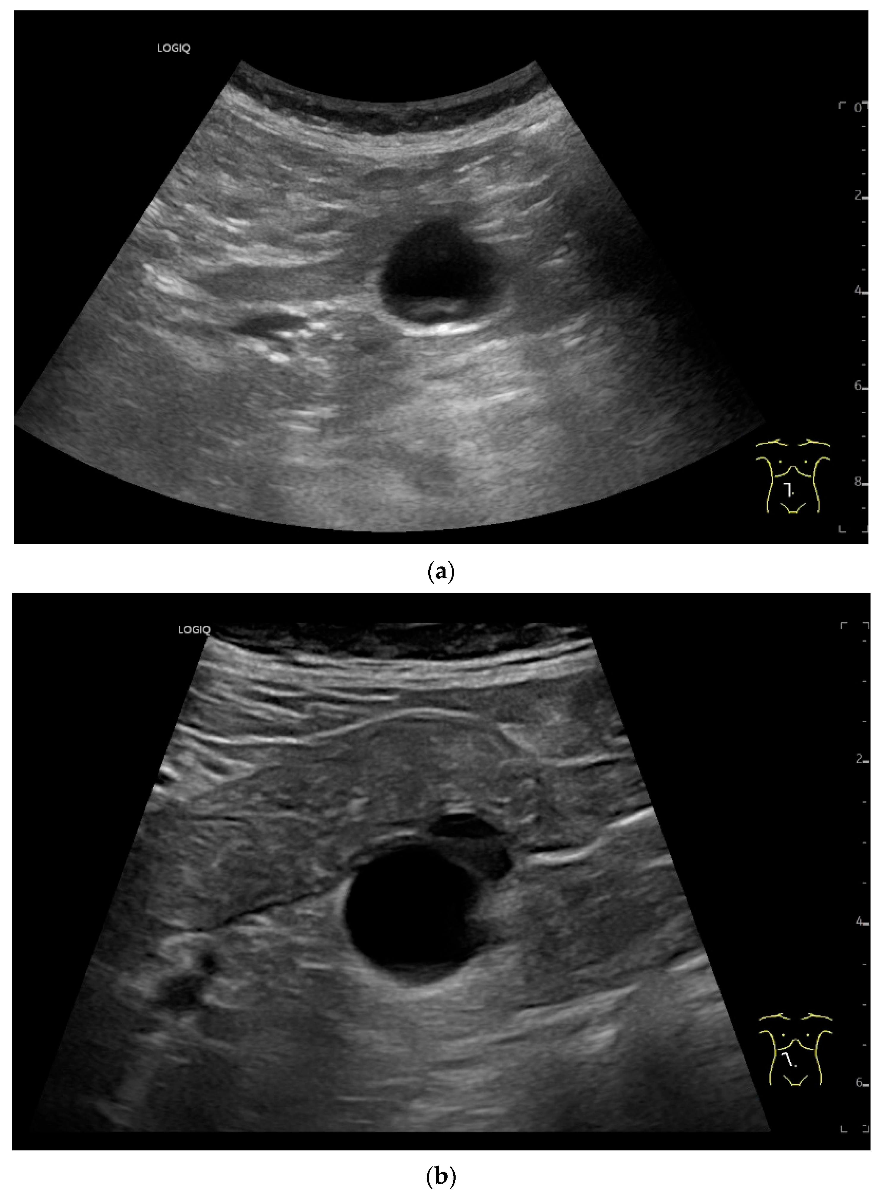 Healthcare 13 02776 g015a