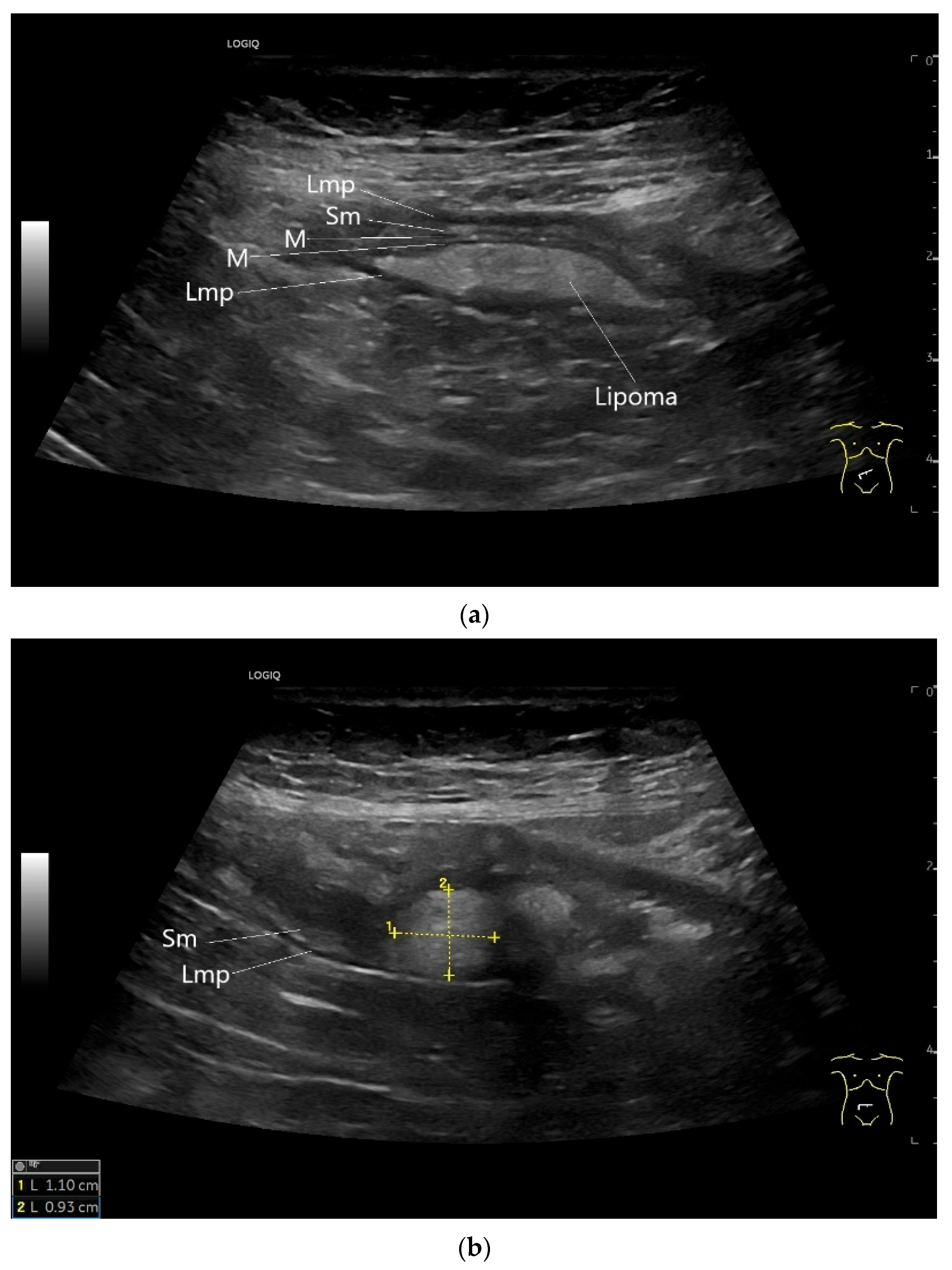 Healthcare 13 02776 g016