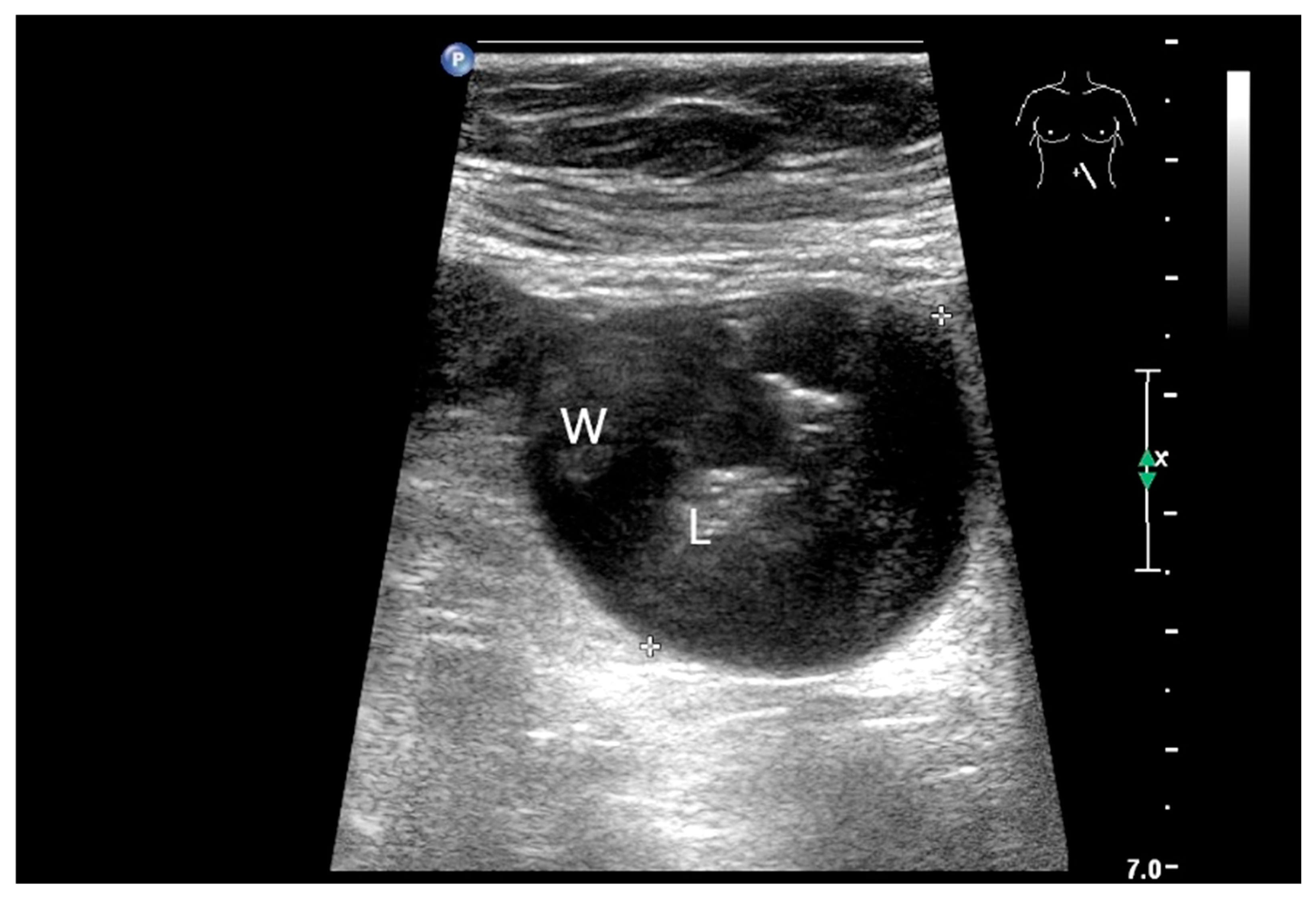 Healthcare 13 02776 g018