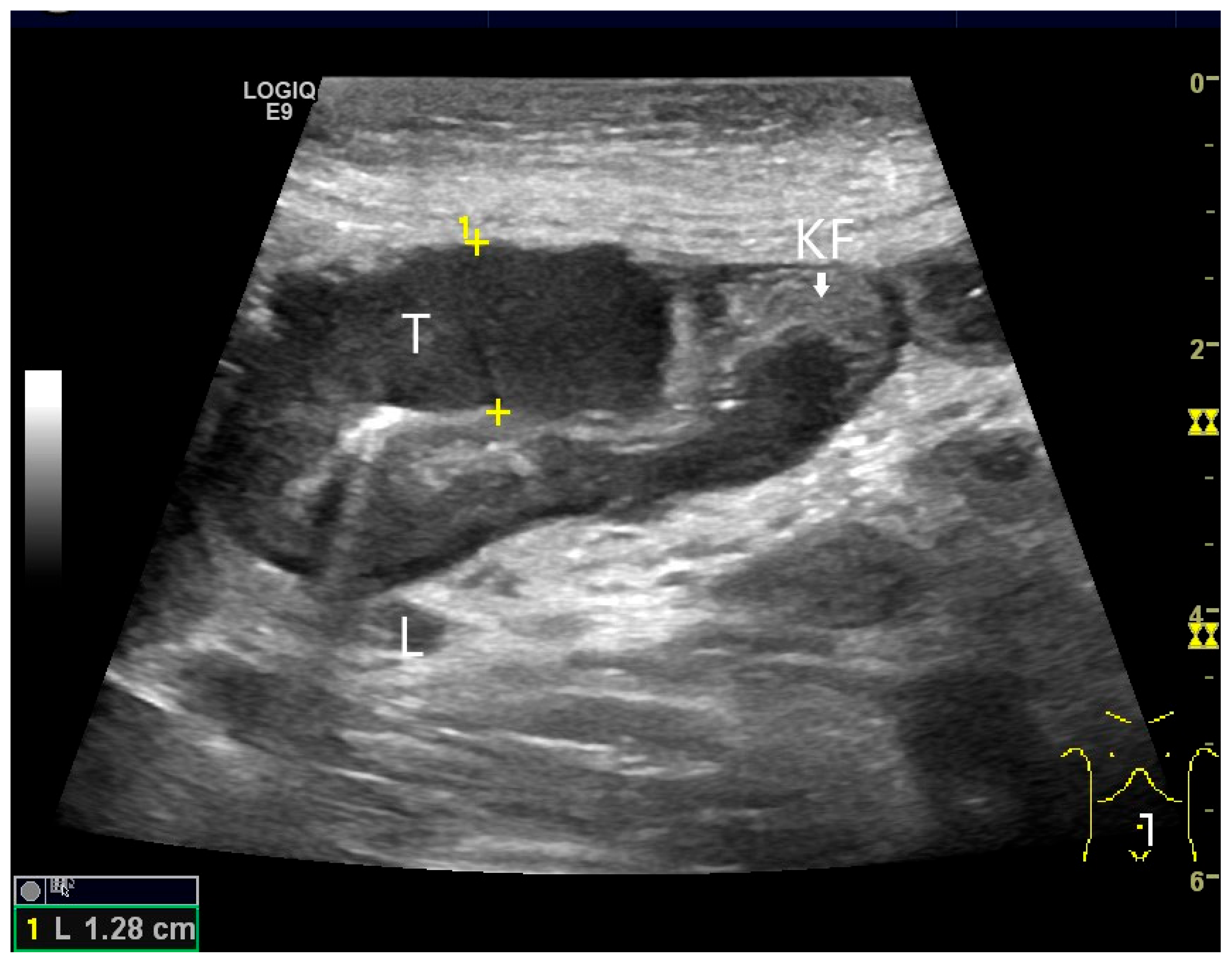 Healthcare 13 02776 g019