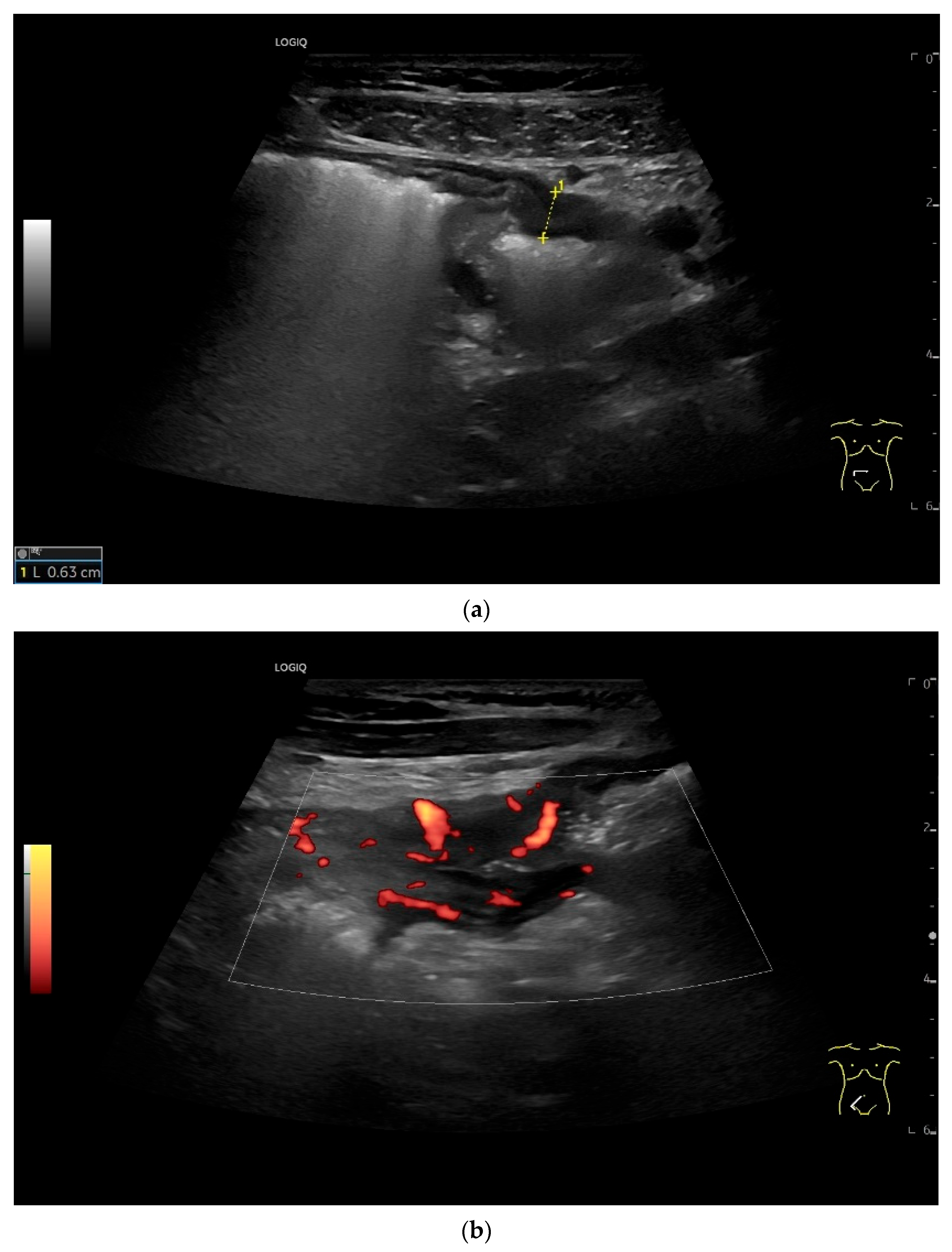 Healthcare 13 02776 g020