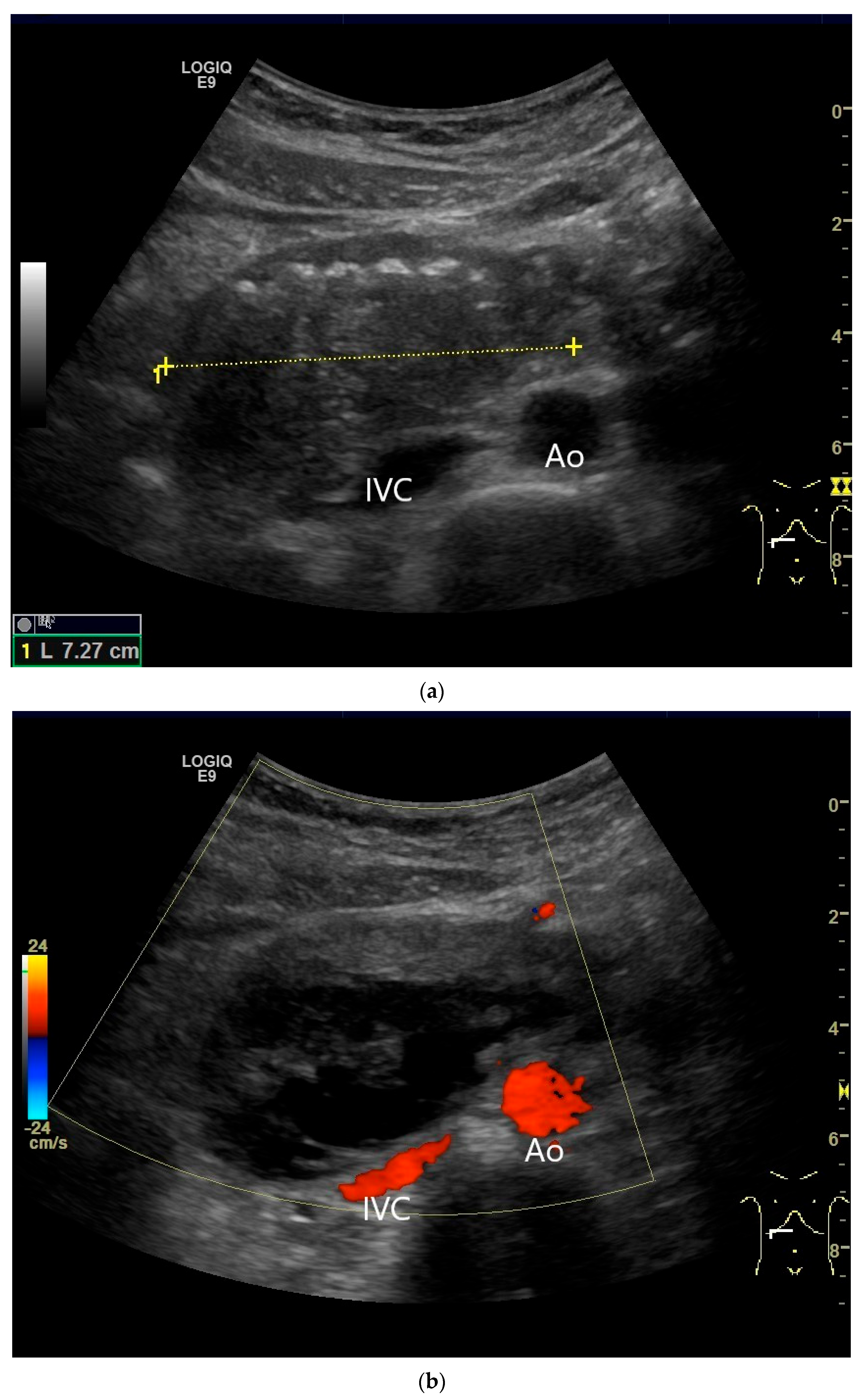 Healthcare 13 02776 g021a