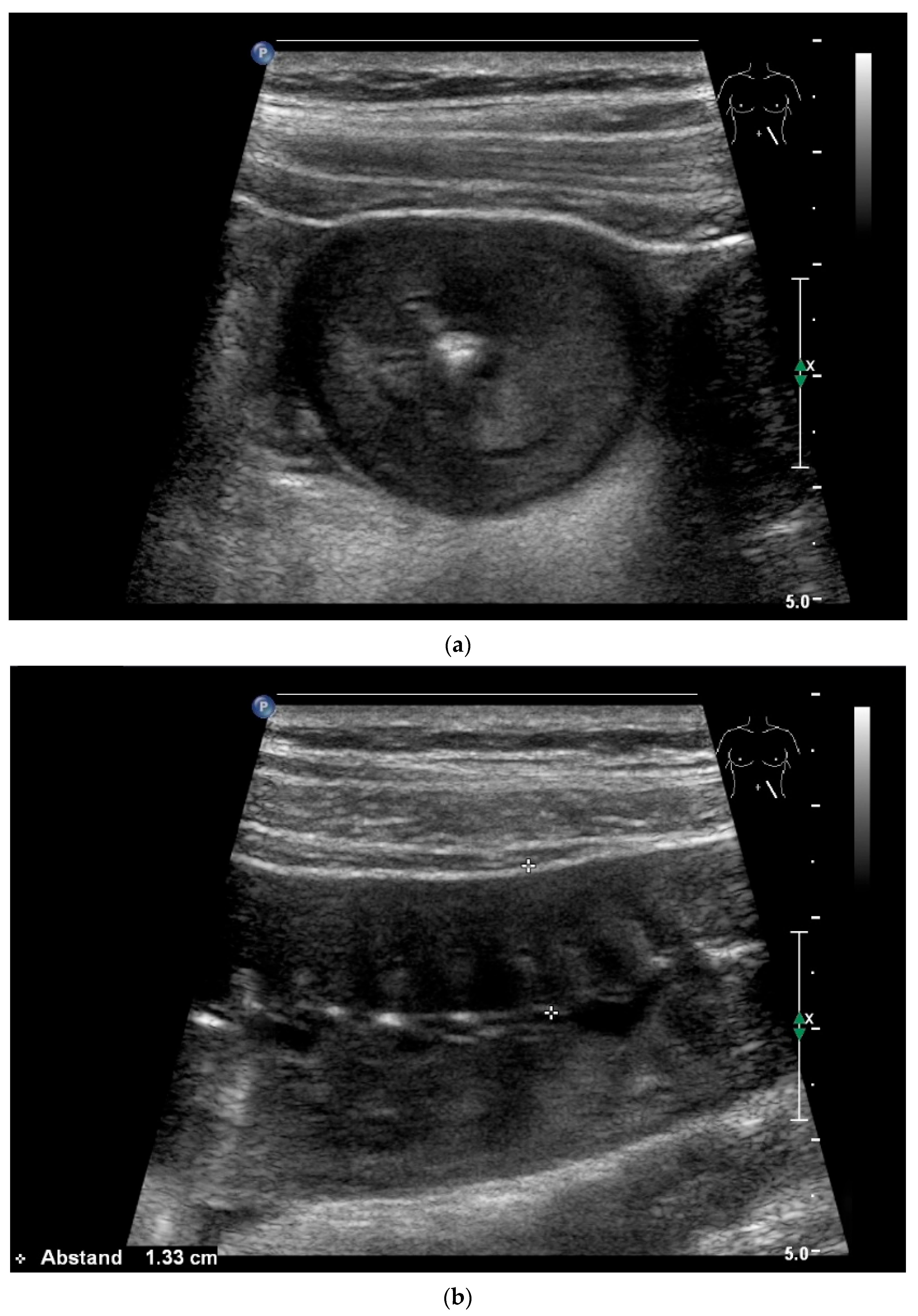 Healthcare 13 02776 g022