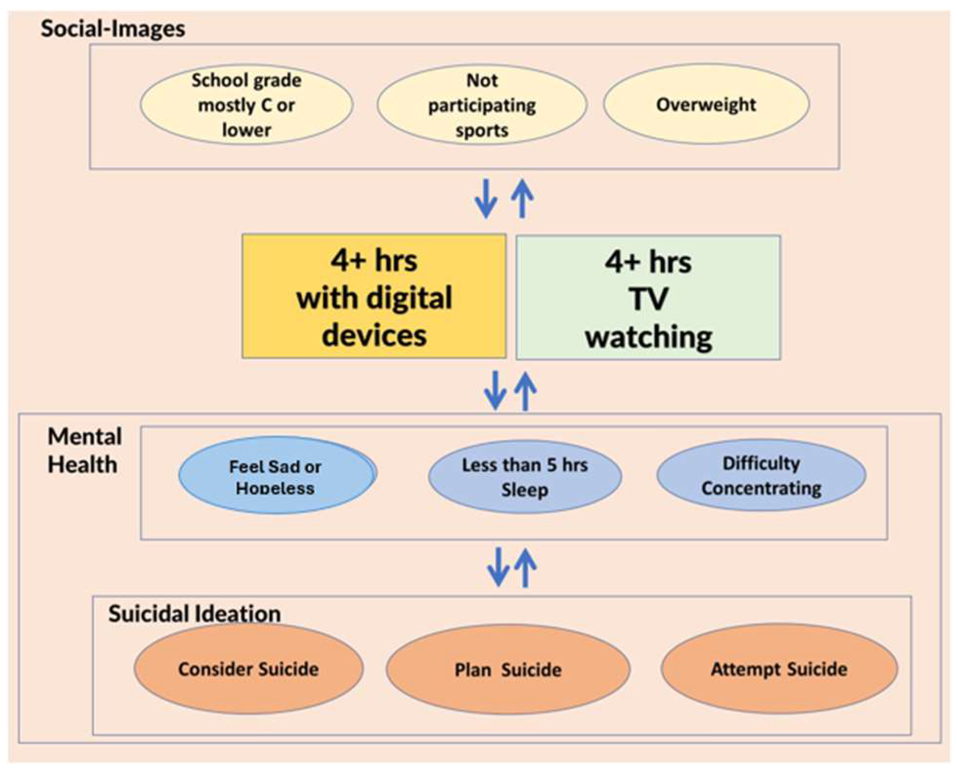 Healthcare 13 02833 g001