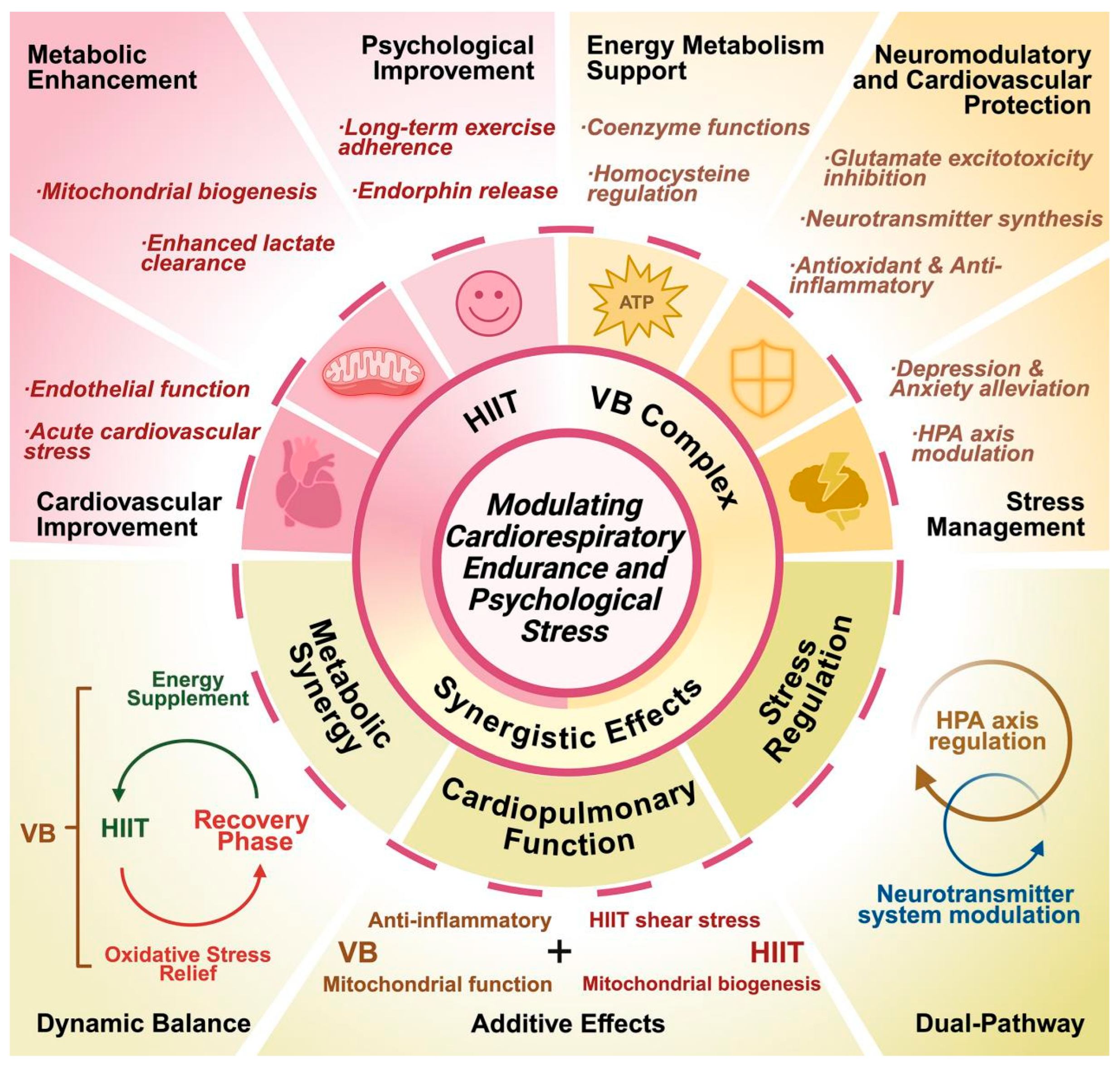 Healthcare 13 02873 g001