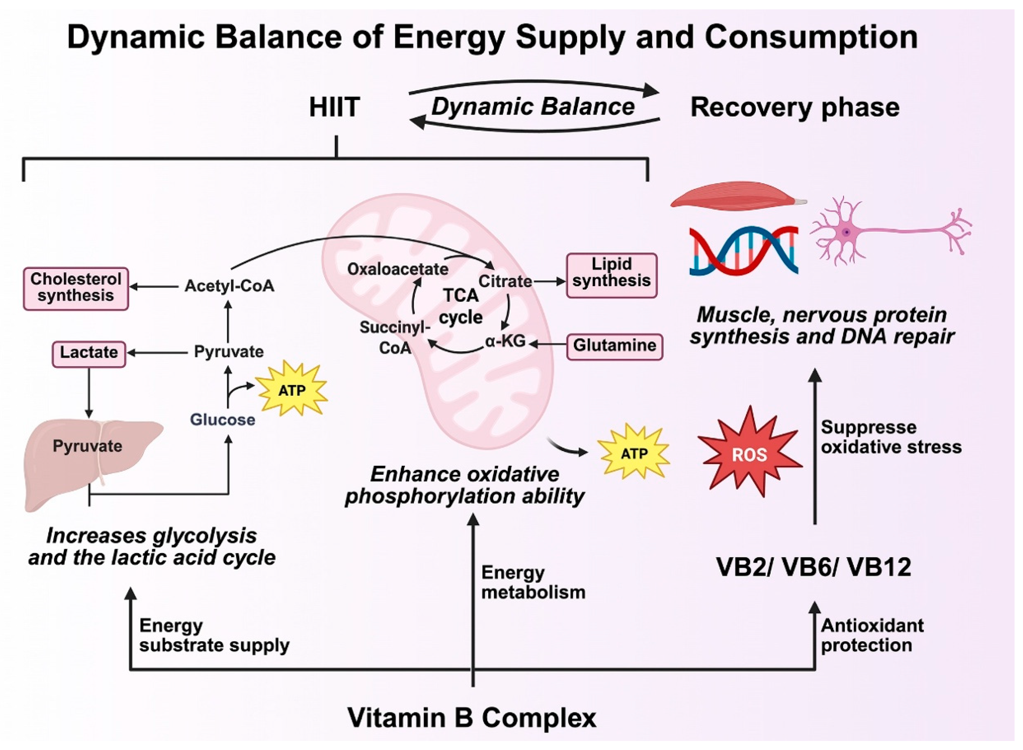 Healthcare 13 02873 g002