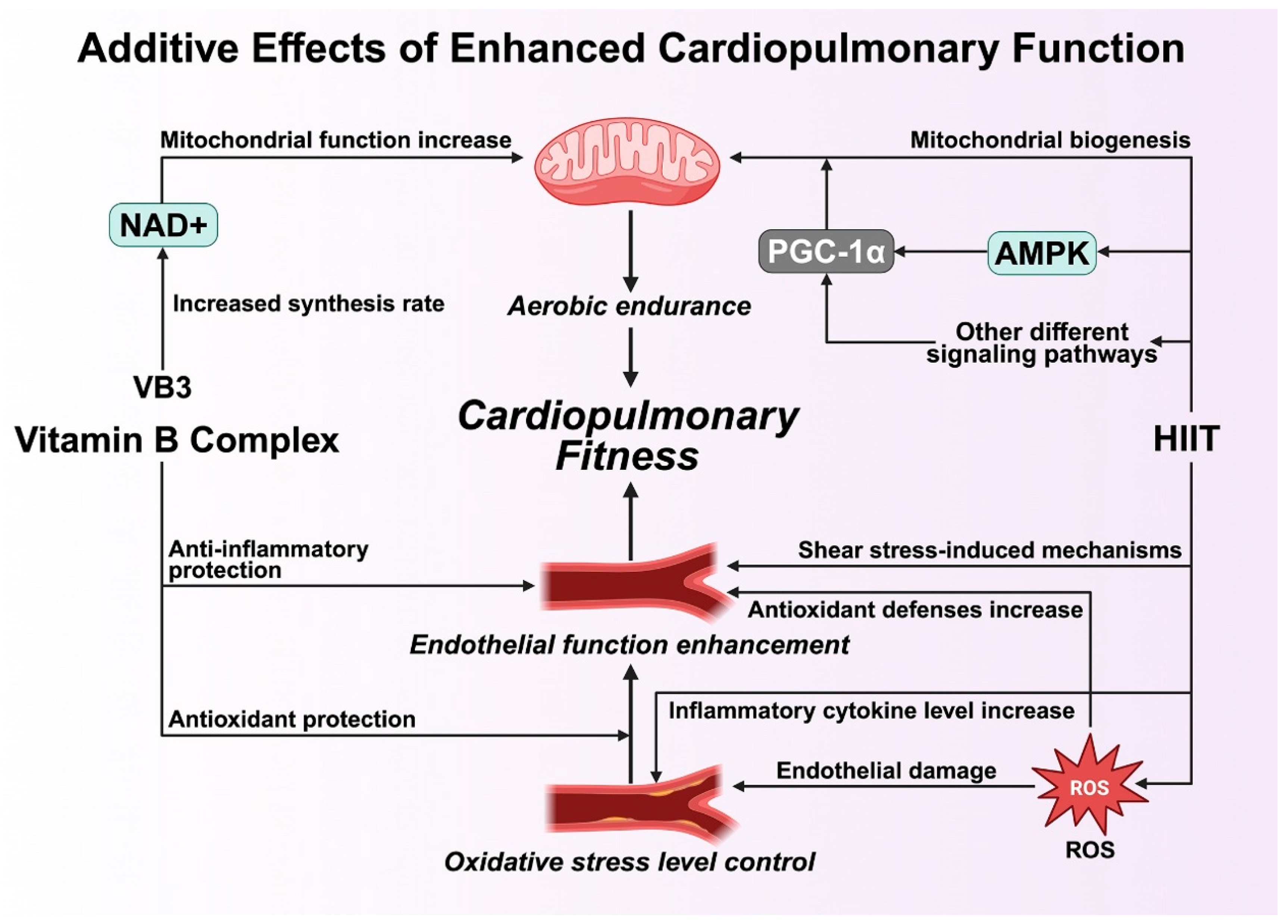 Healthcare 13 02873 g003