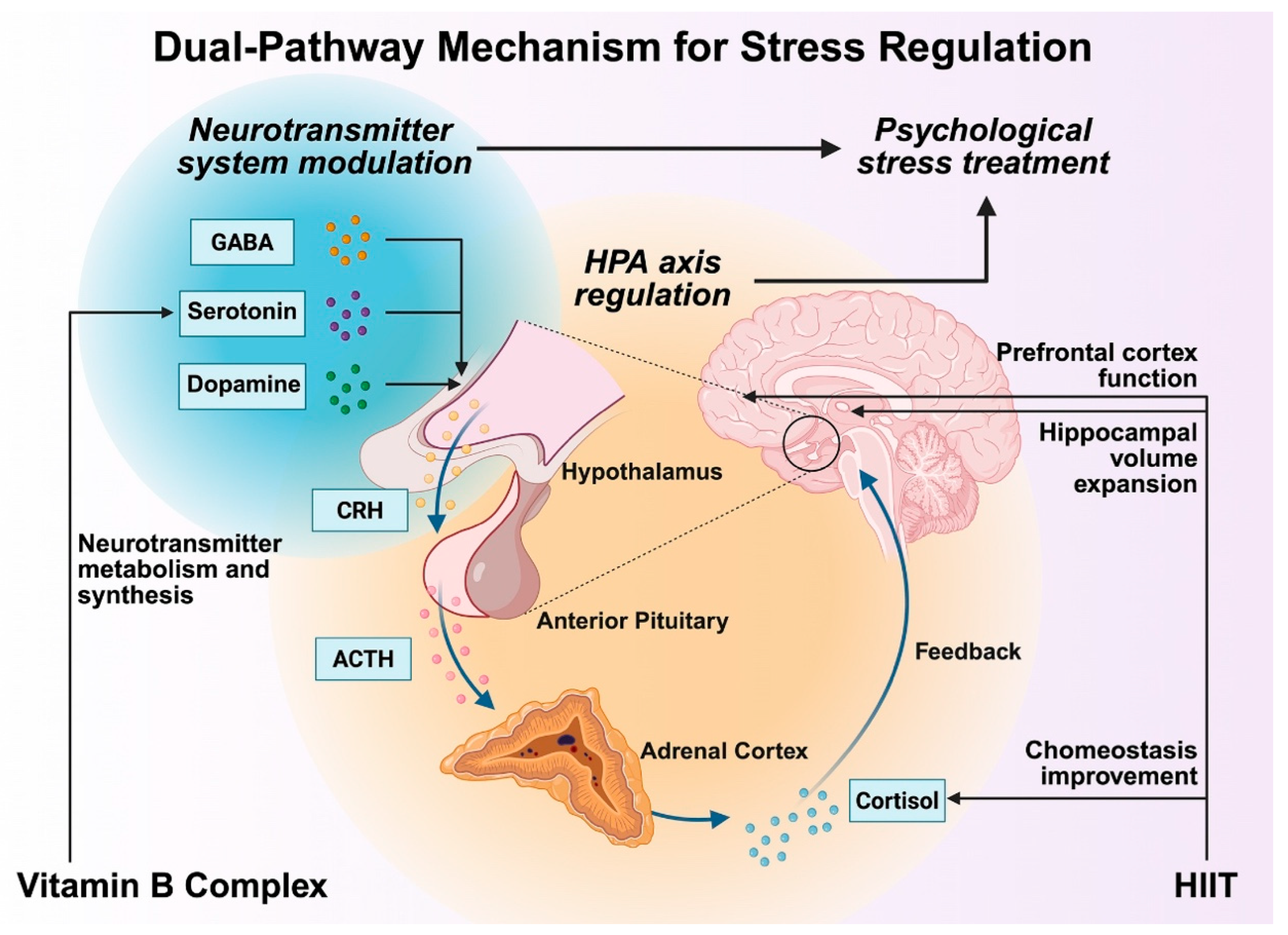 Healthcare 13 02873 g004