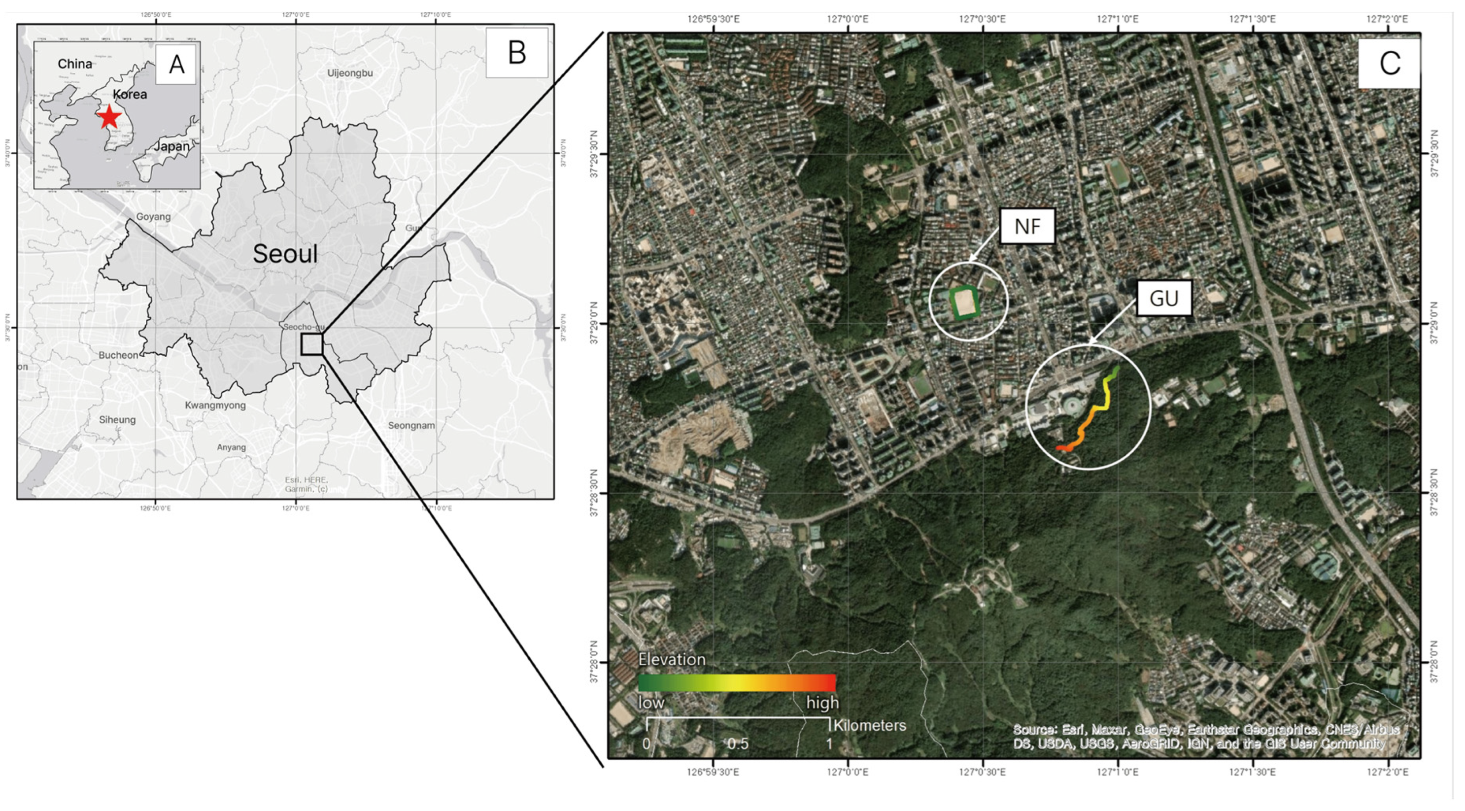 Healthcare 13 02876 g001