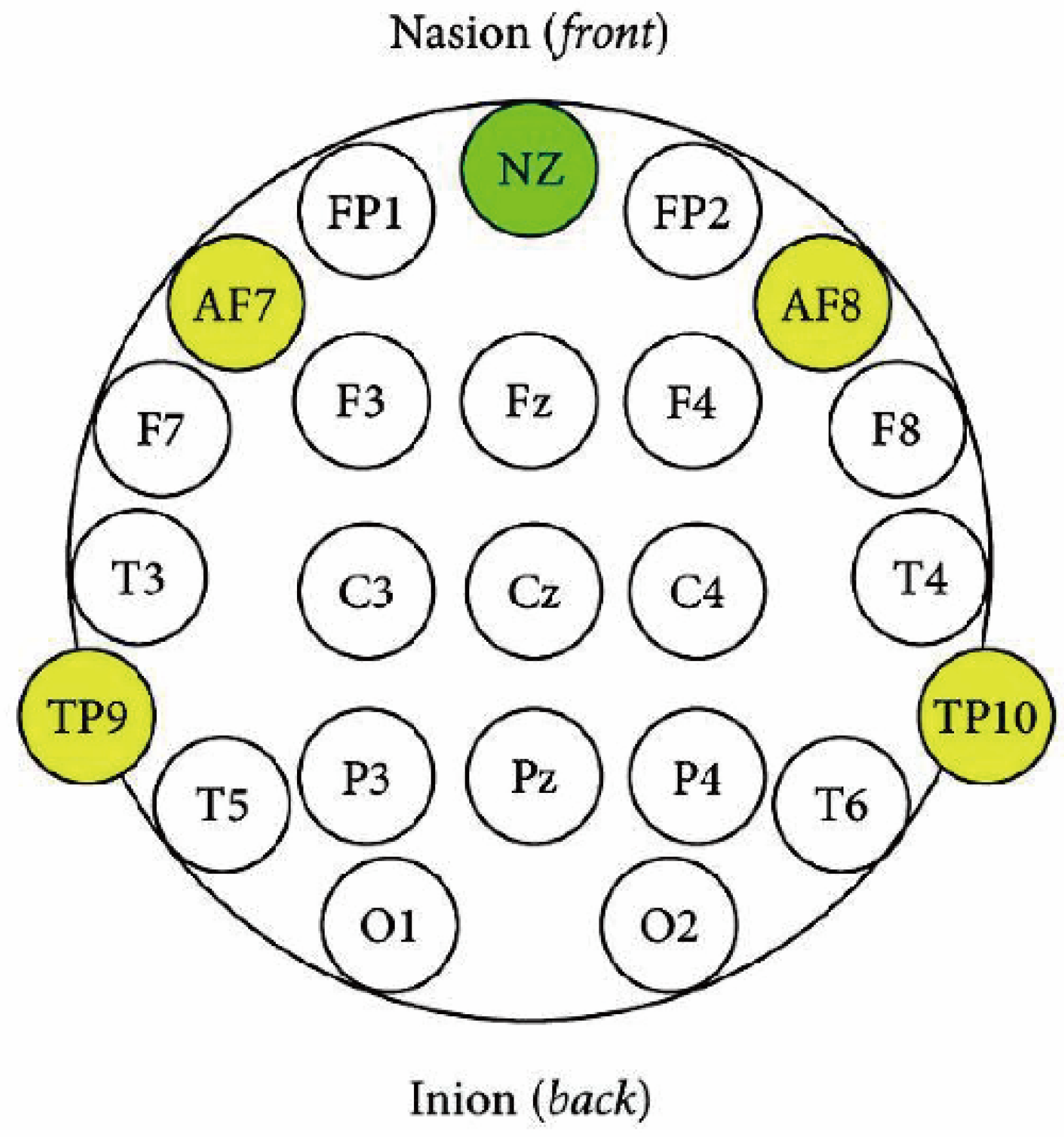 Healthcare 13 02876 g003