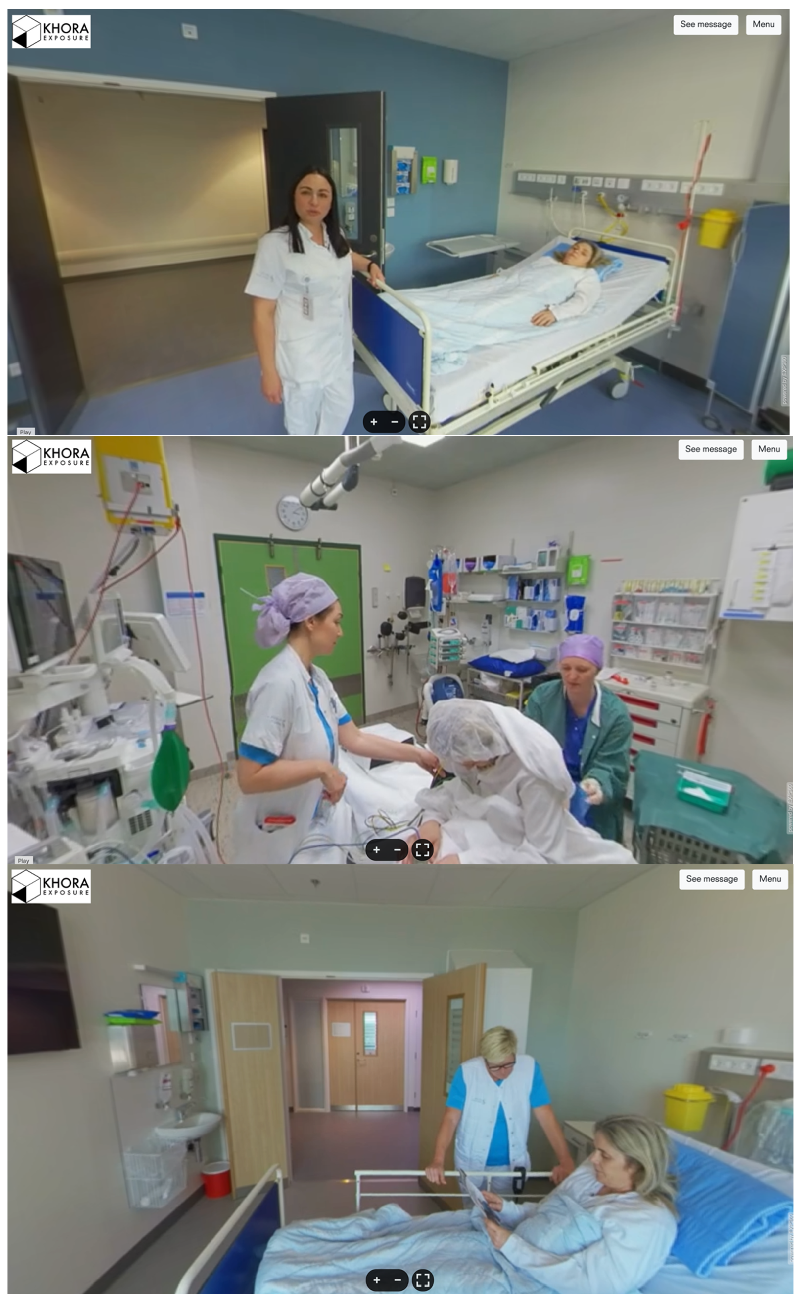 Healthcare 13 02896 g001