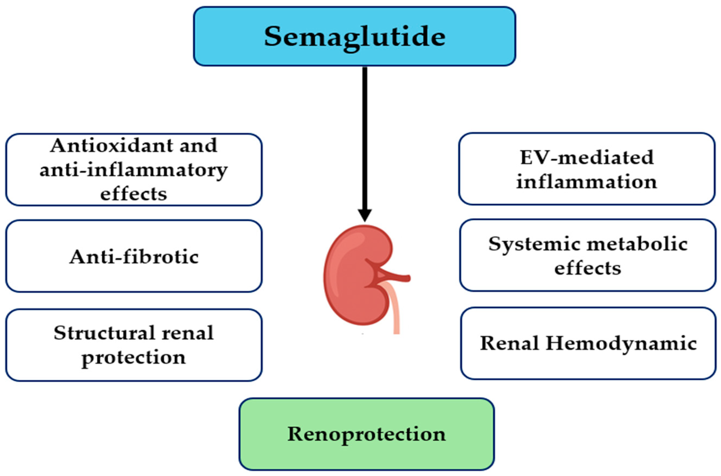 Healthcare 13 02922 g001