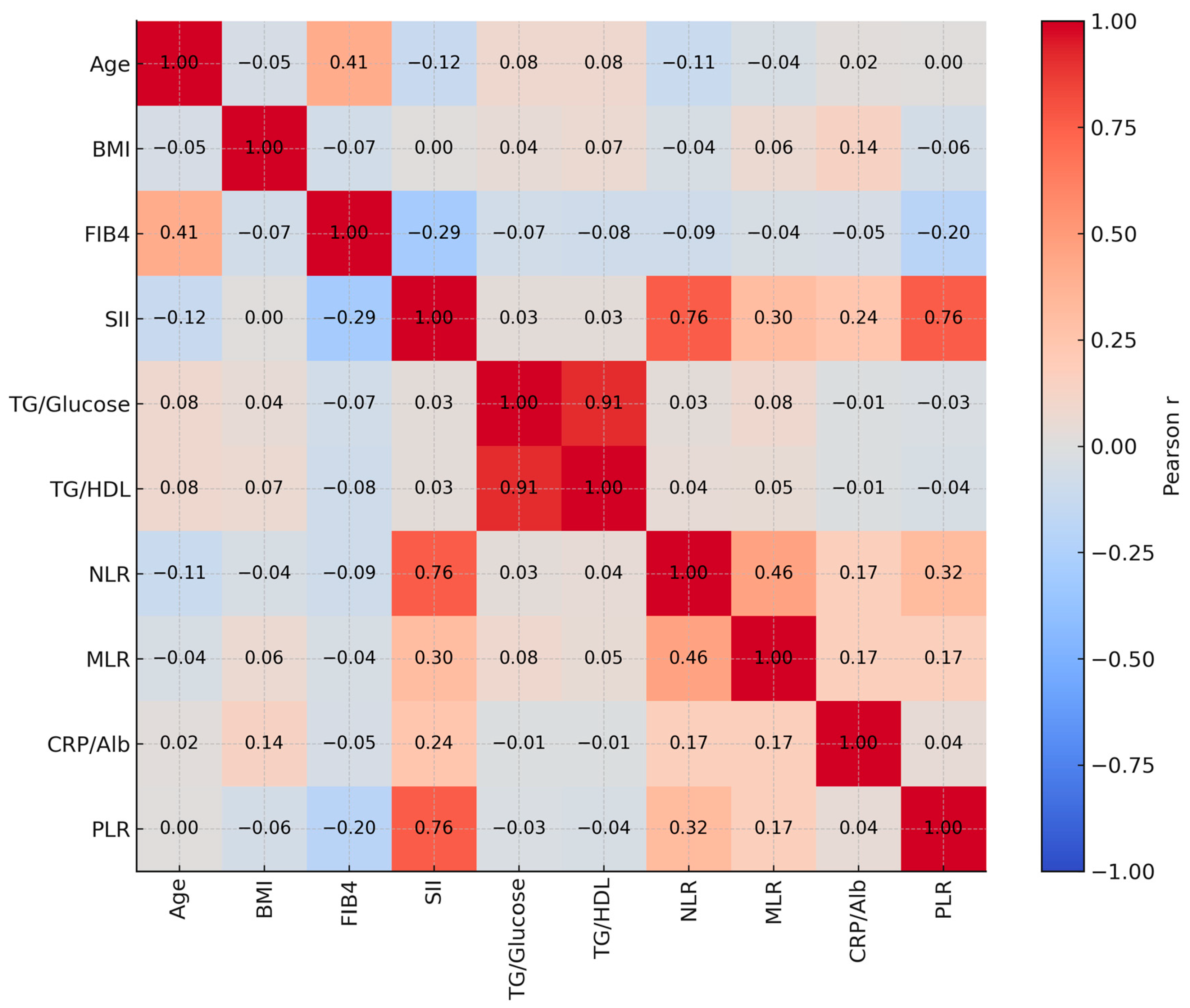 Healthcare 13 02946 g001