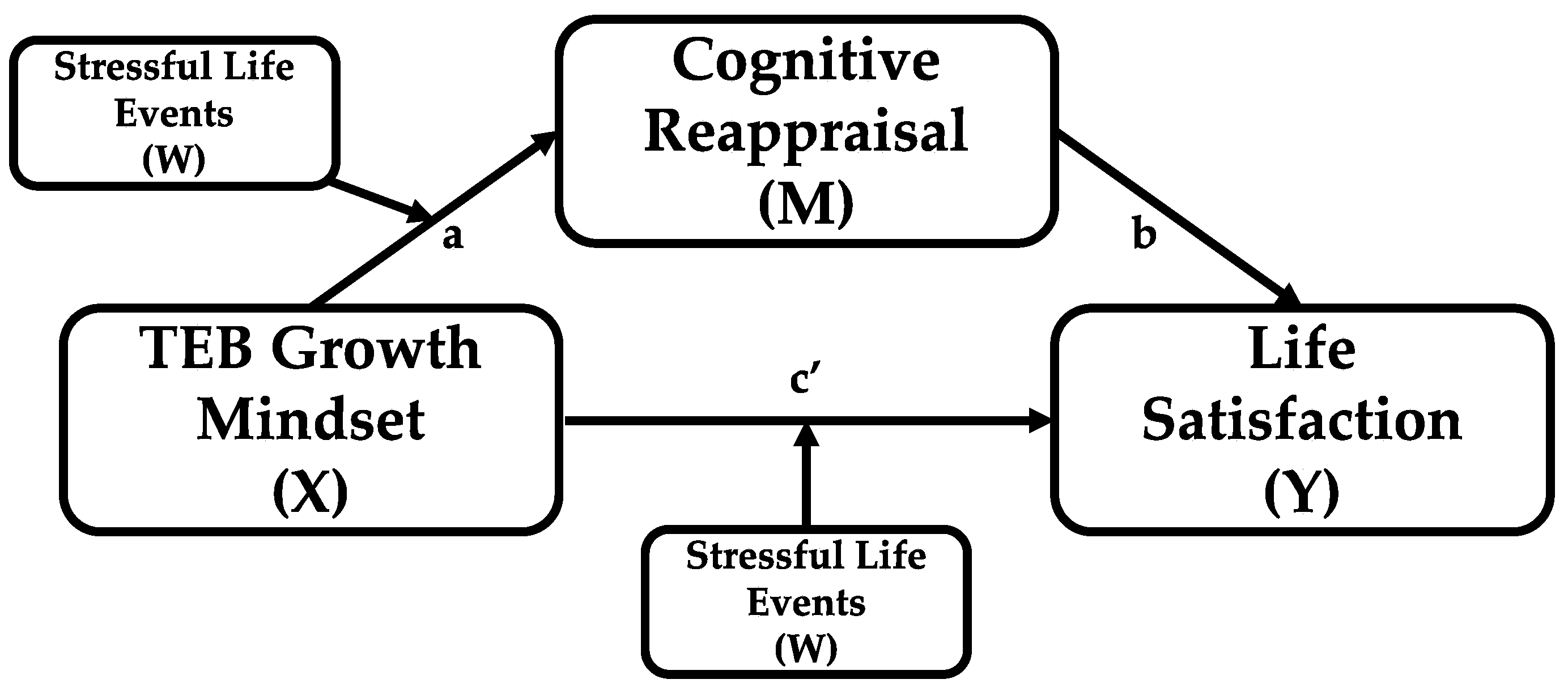 Healthcare 13 02985 g002