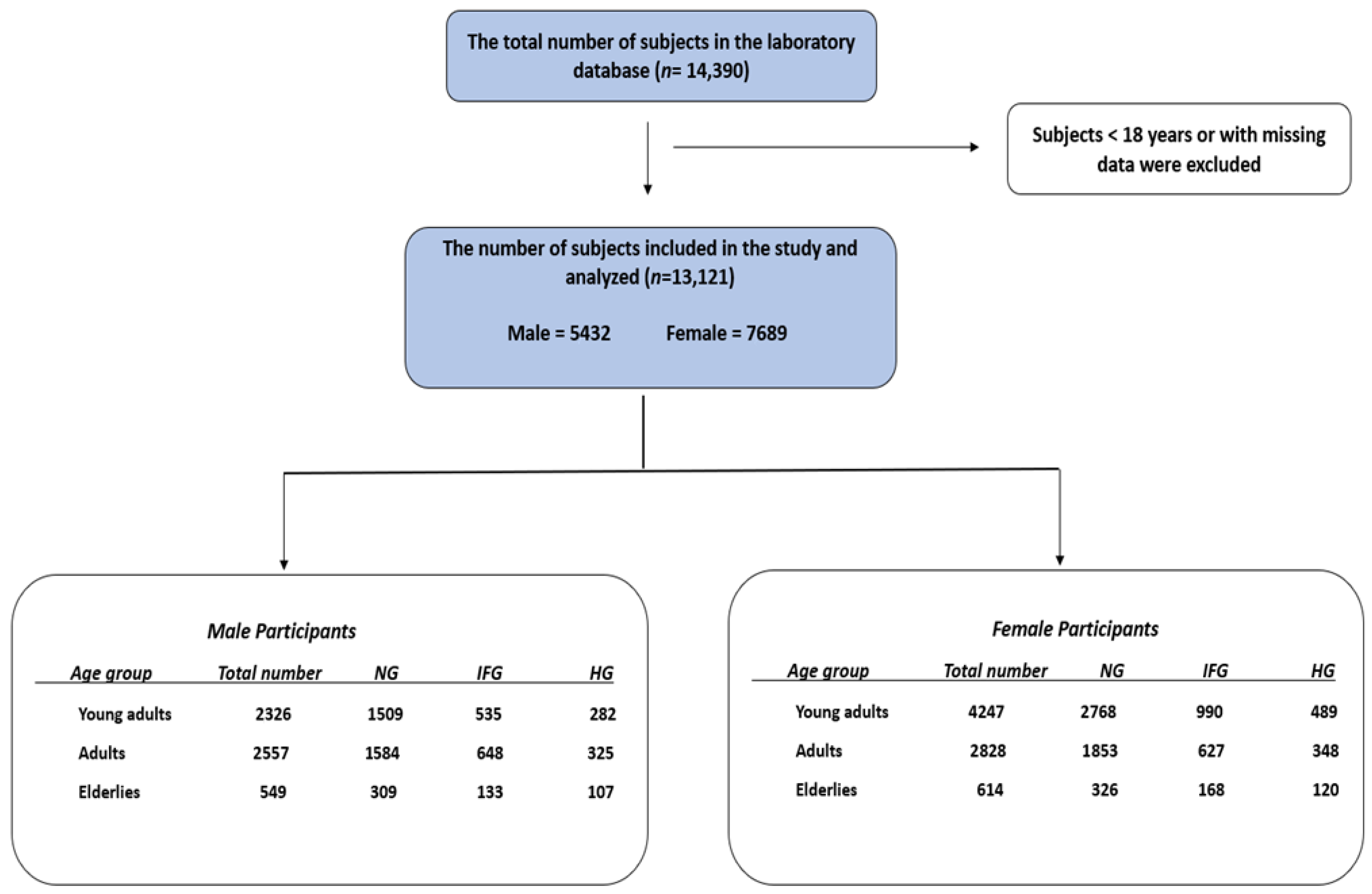 Healthcare 13 03021 g001