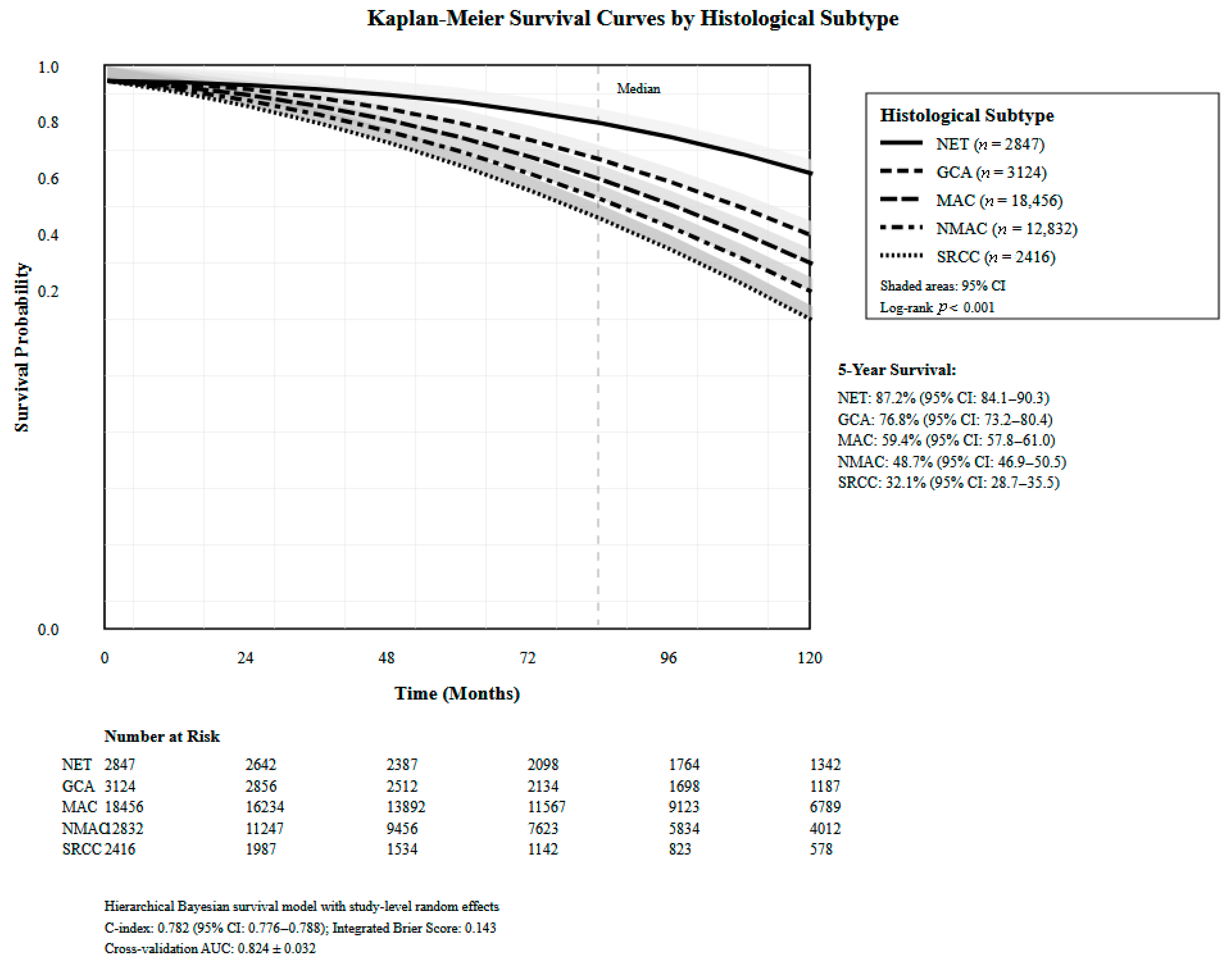 Healthcare 13 03074 g003