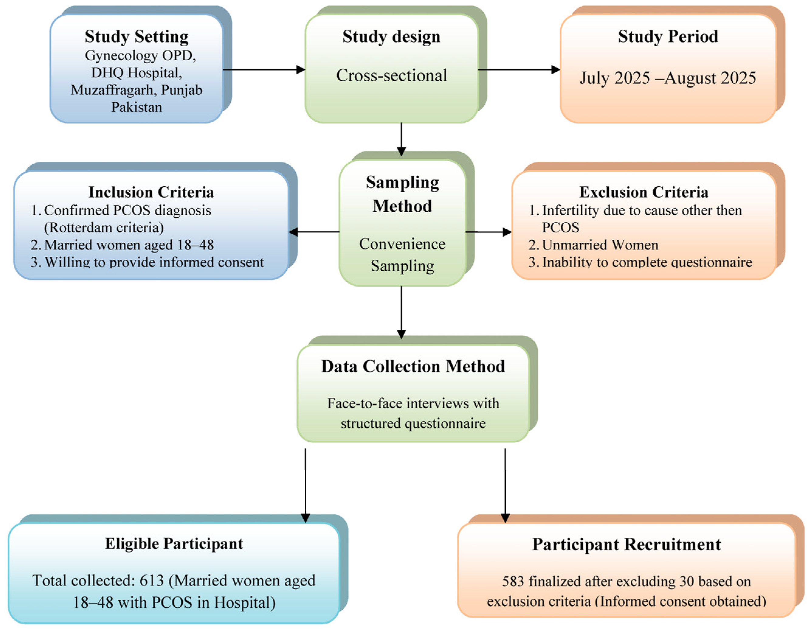 Healthcare 13 03085 g001