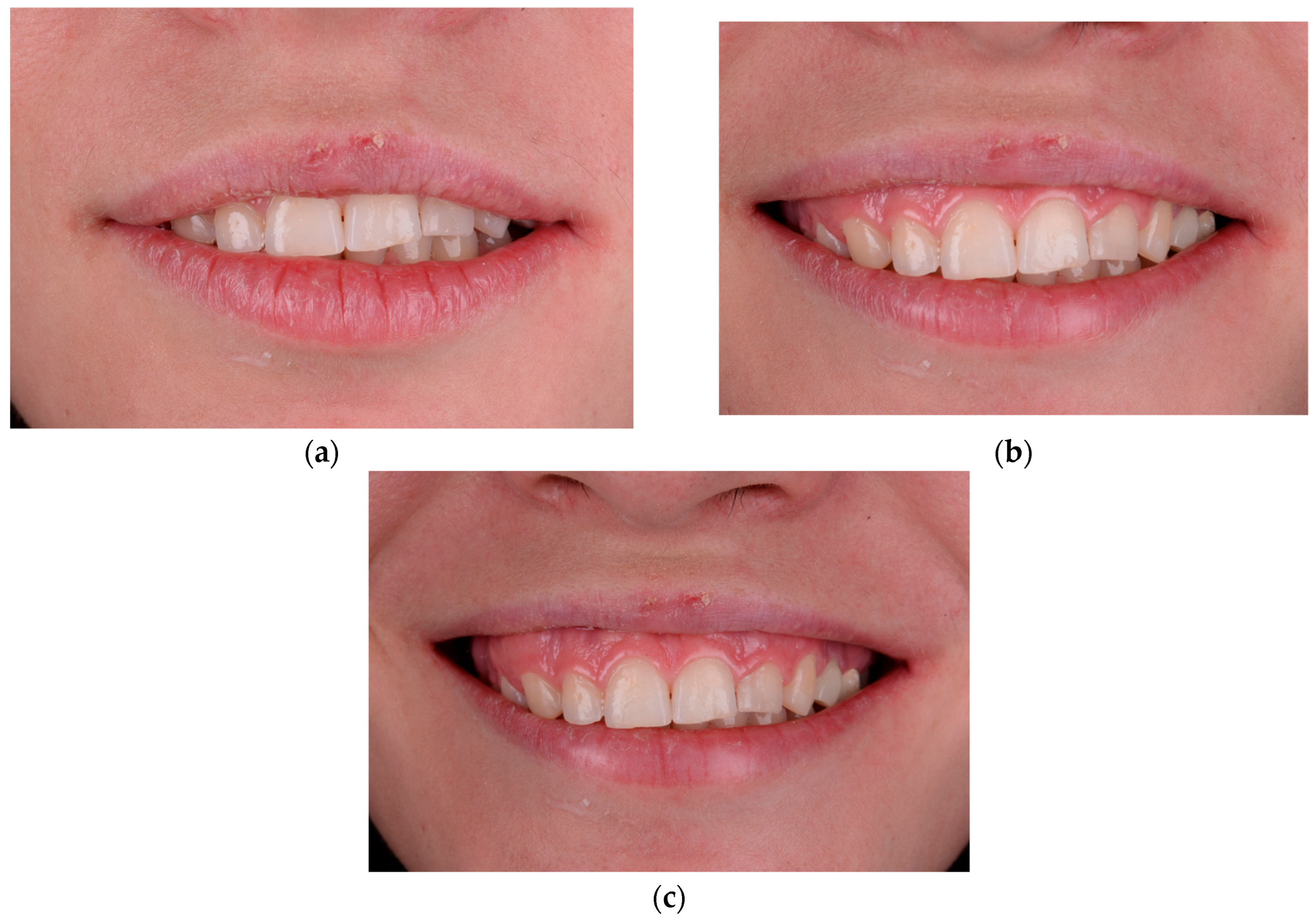 Healthcare 13 03194 g001