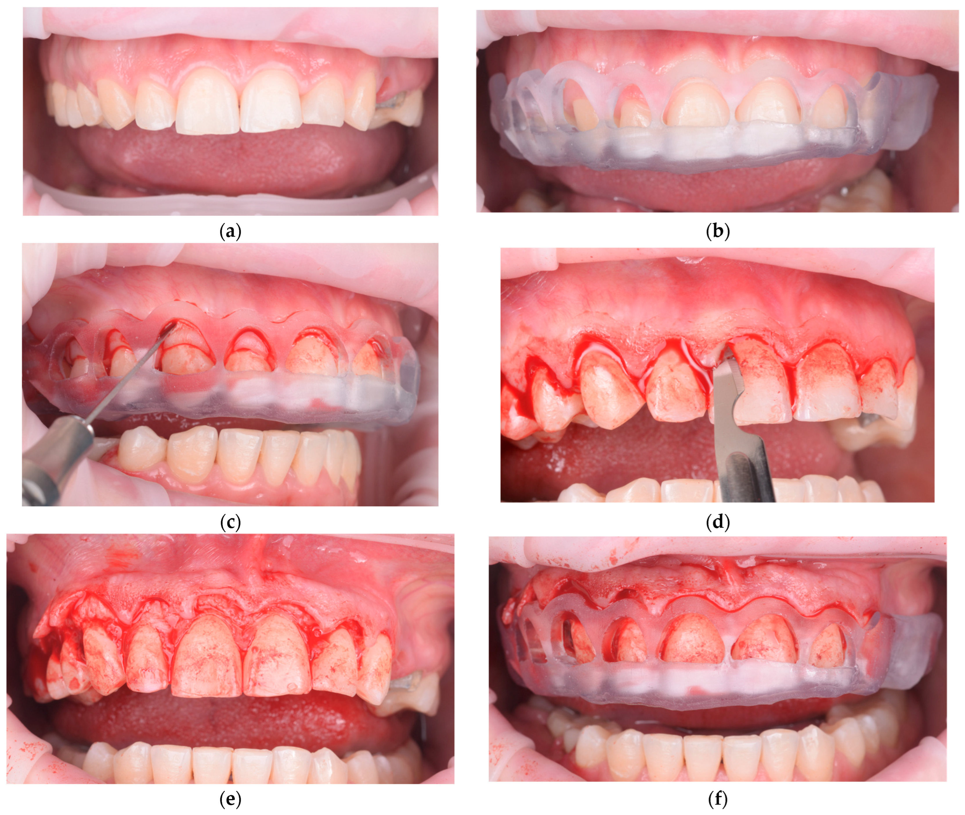 Healthcare 13 03194 g003