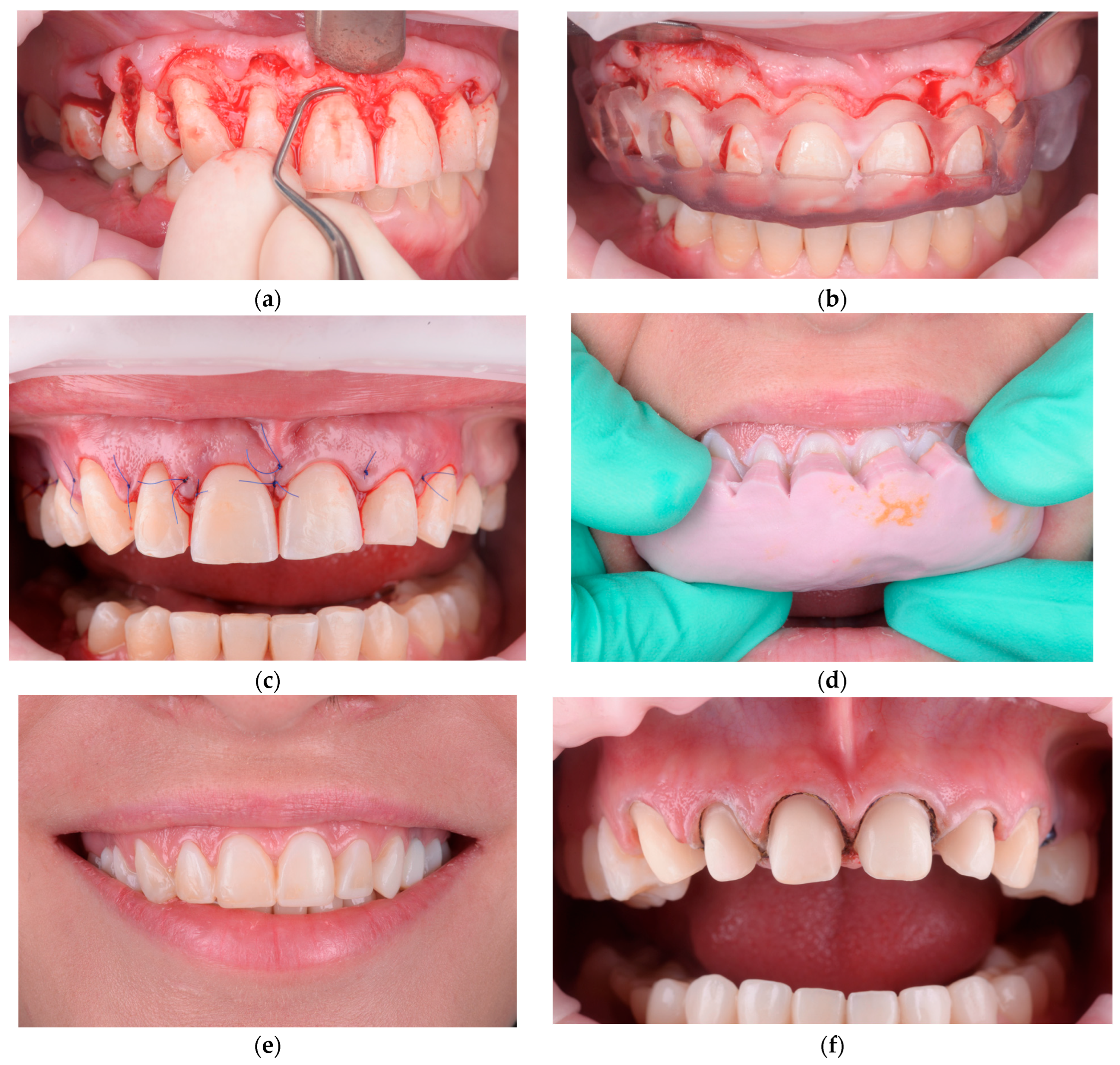 Healthcare 13 03194 g004