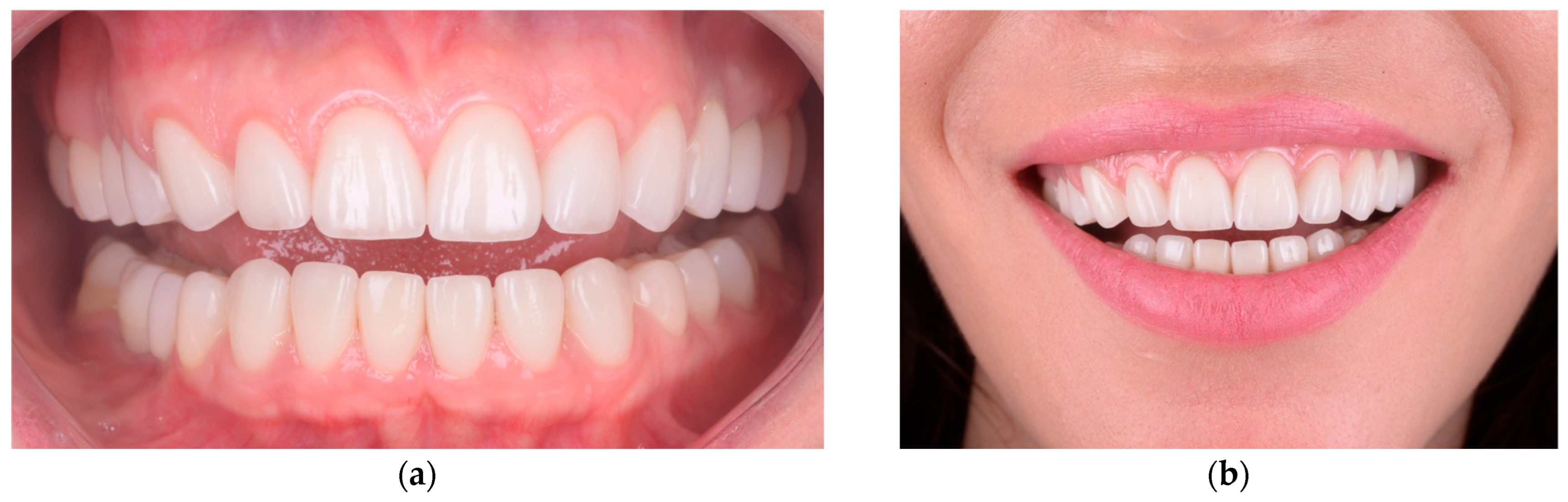 Healthcare 13 03194 g005