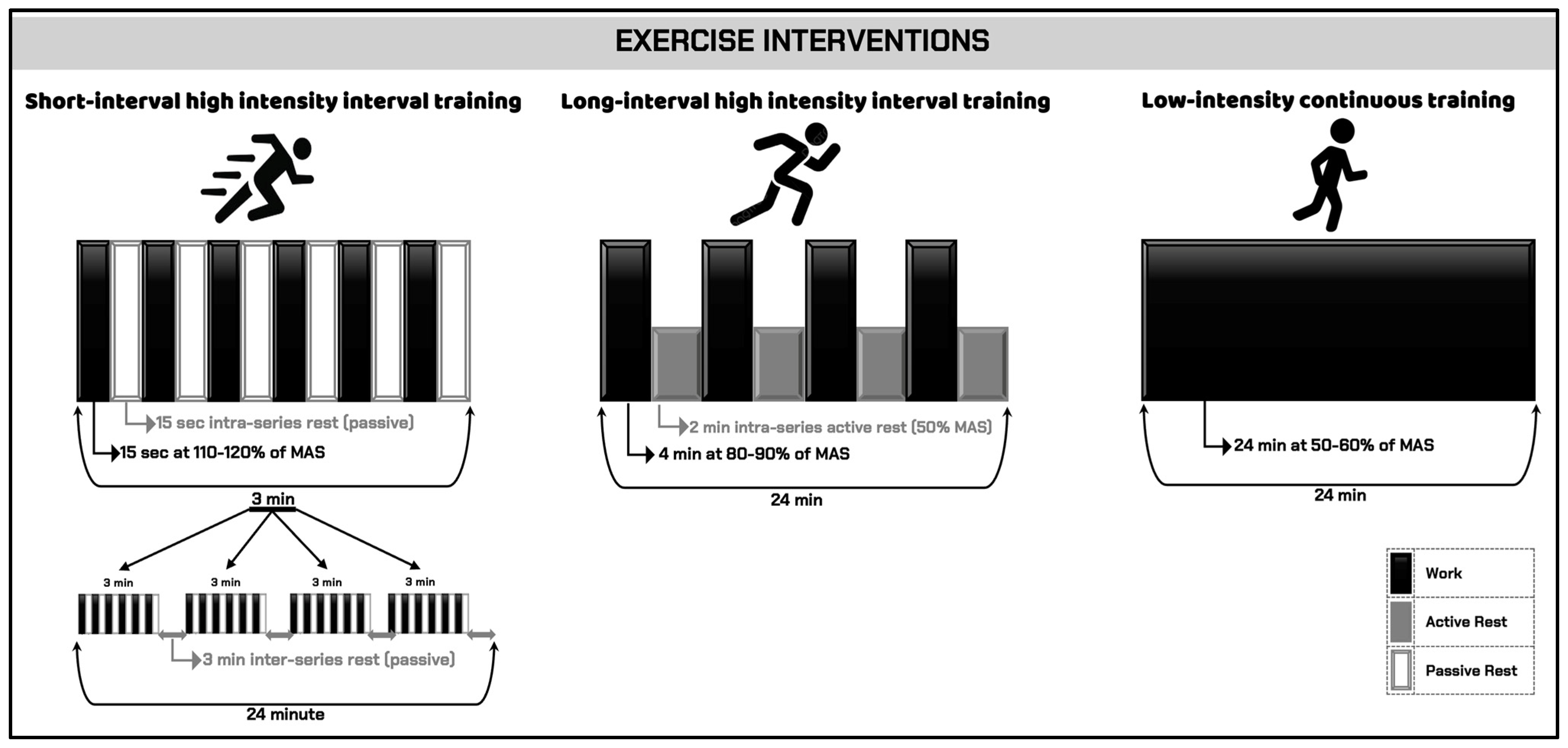 Healthcare 13 03242 g003
