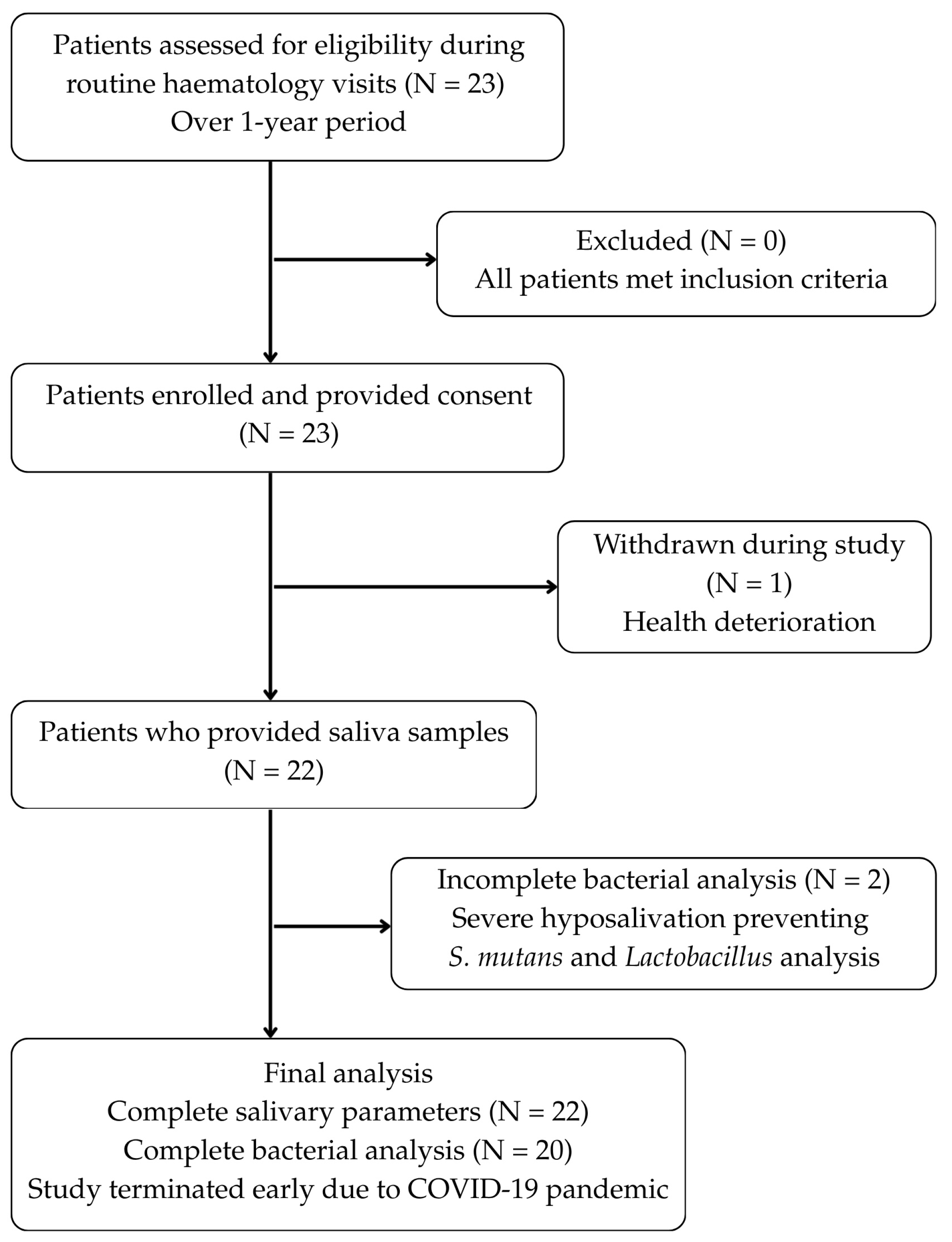 Healthcare 13 03265 g001