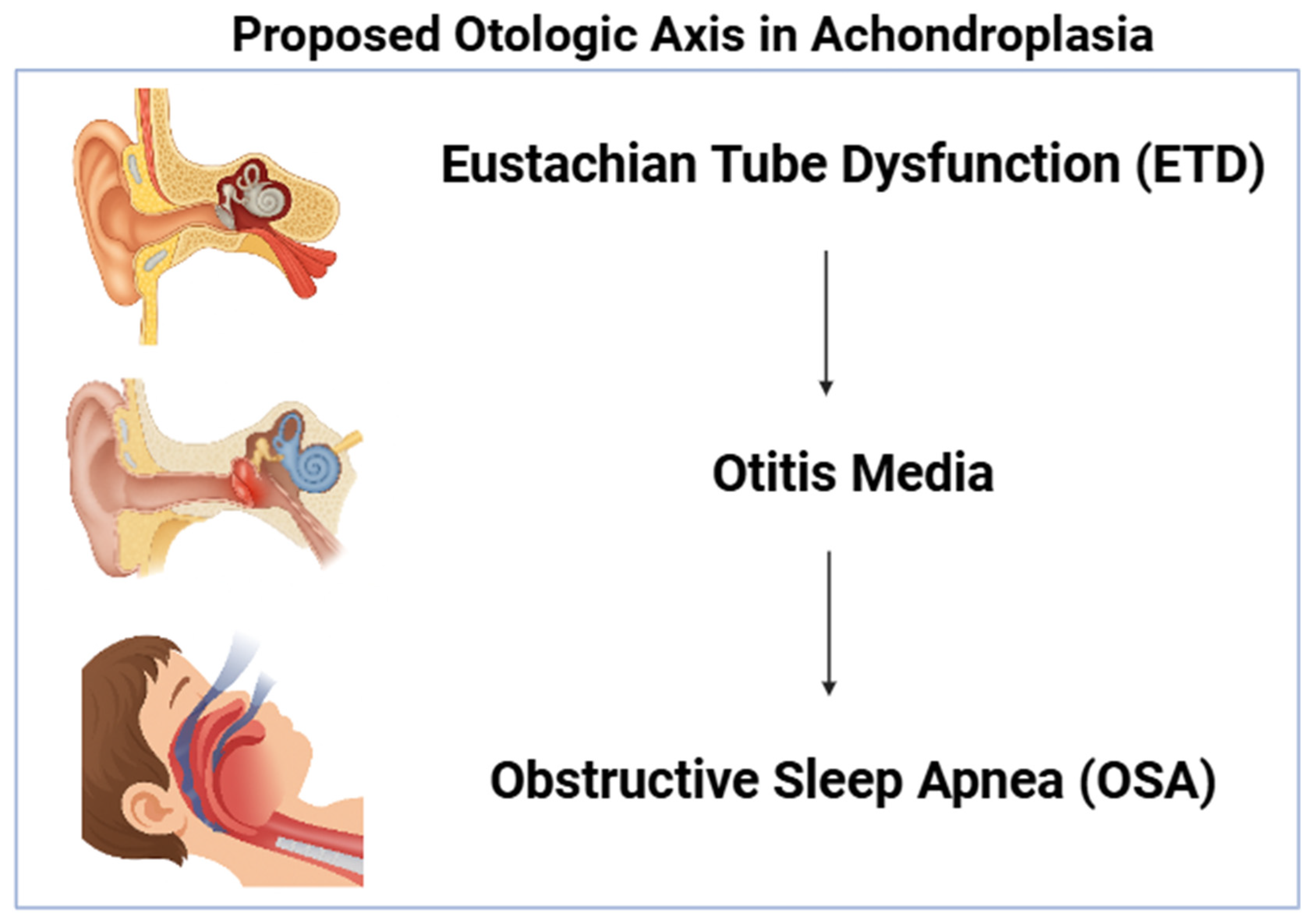 Healthcare 14 00006 g001