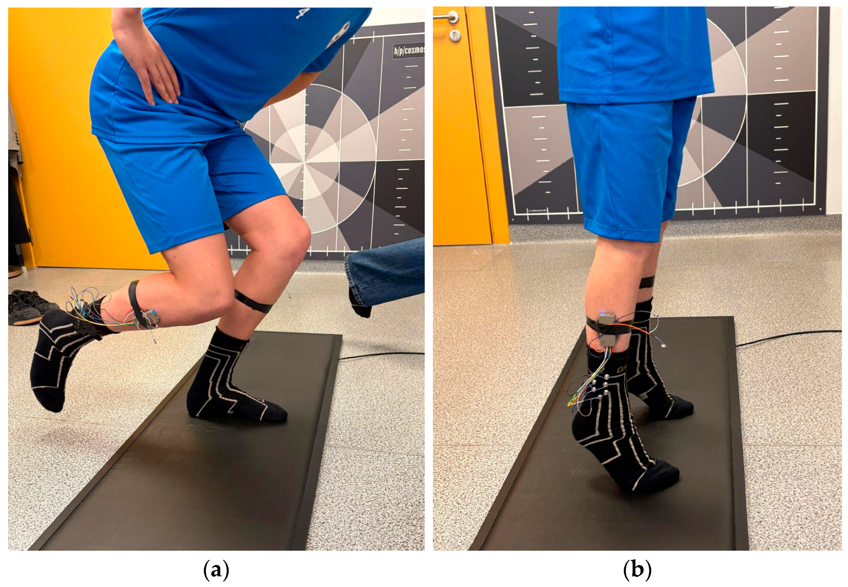 Healthcare 14 00076 g001