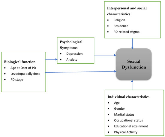 Conceptual Framework.