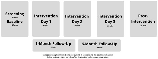 Study Structure and Timing.