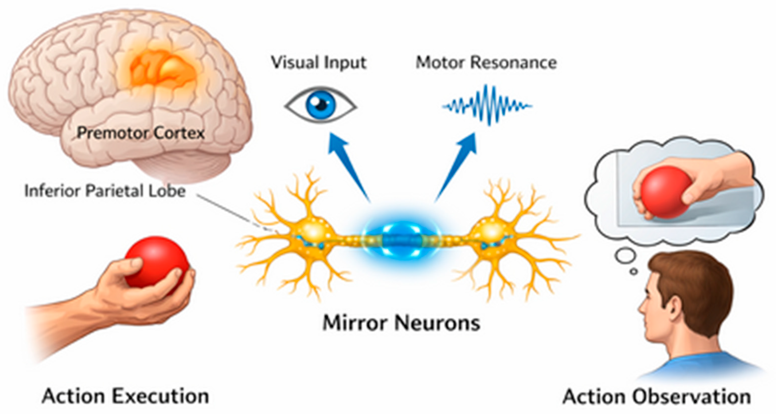 Healthcare 14 00280 g001