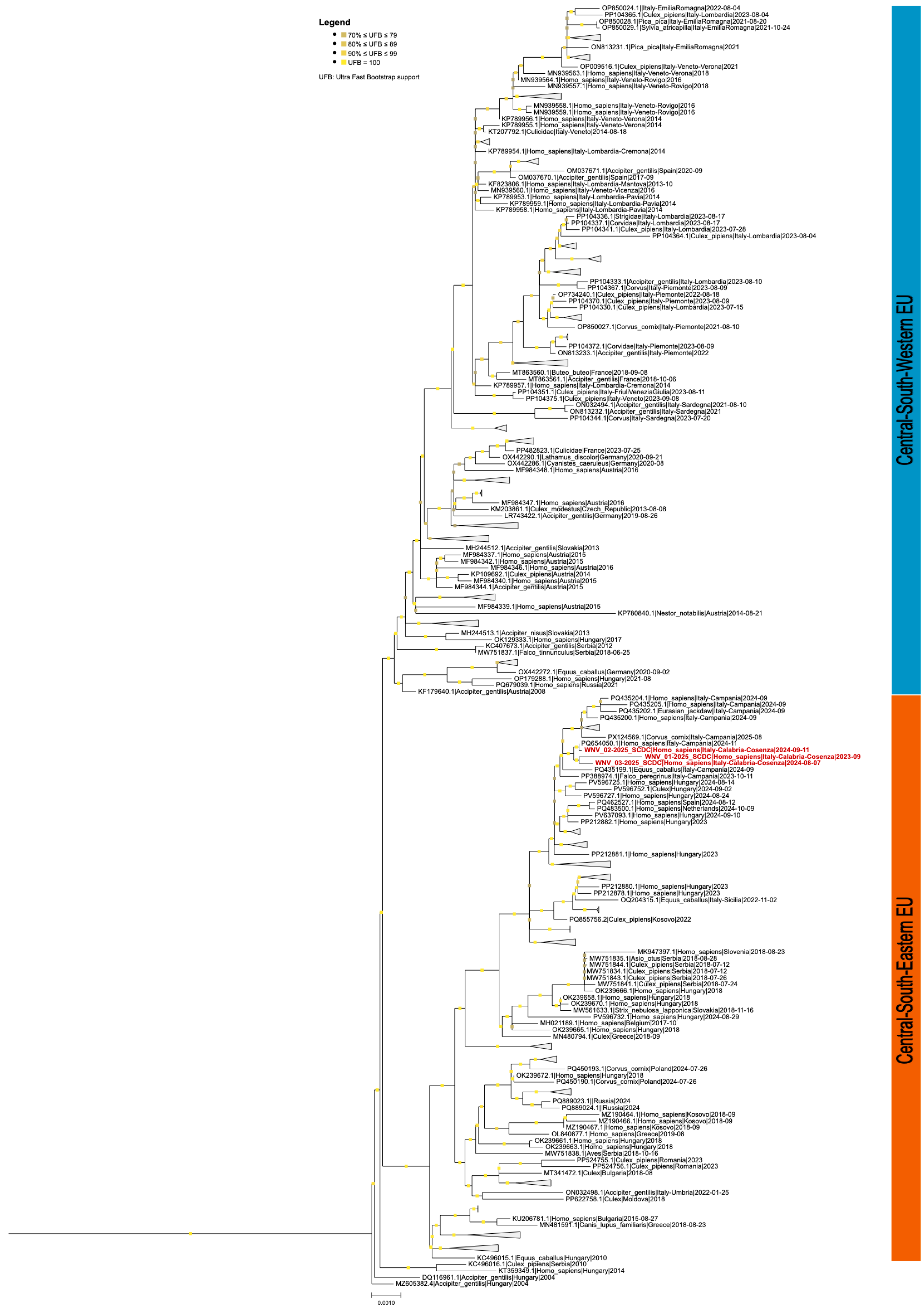 Healthcare 14 00607 g001