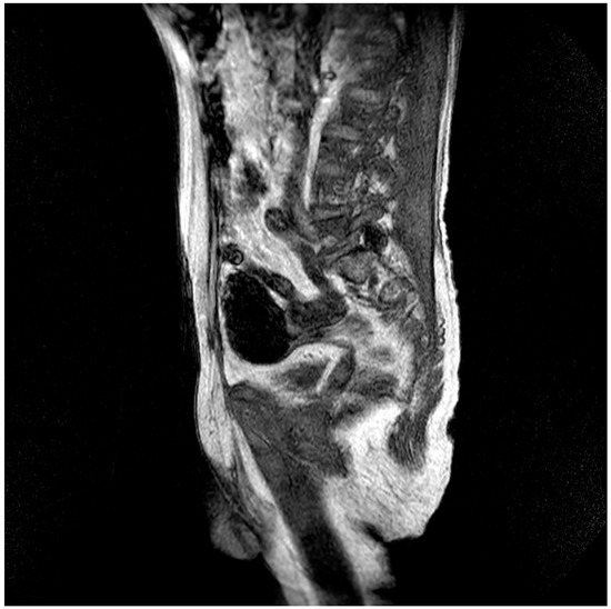 Healthcare 14 00607 g002