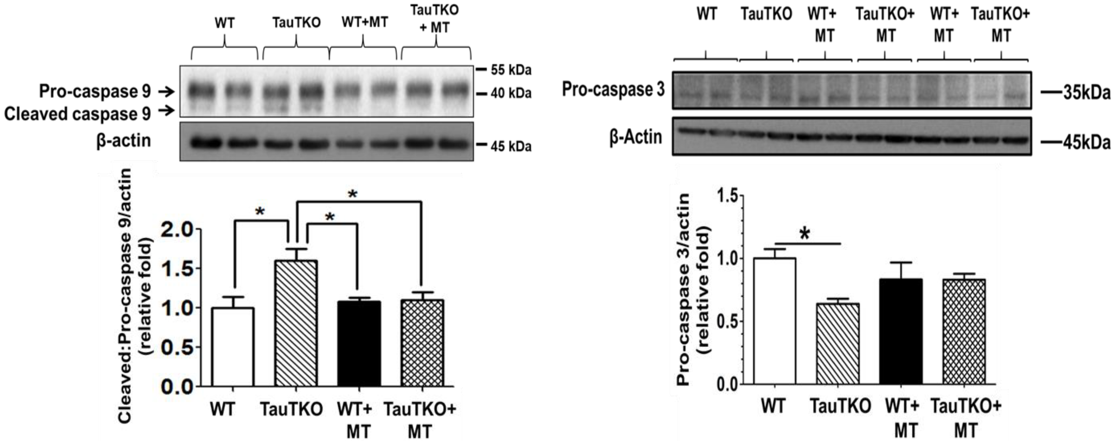 Hearts 01 00010 g004