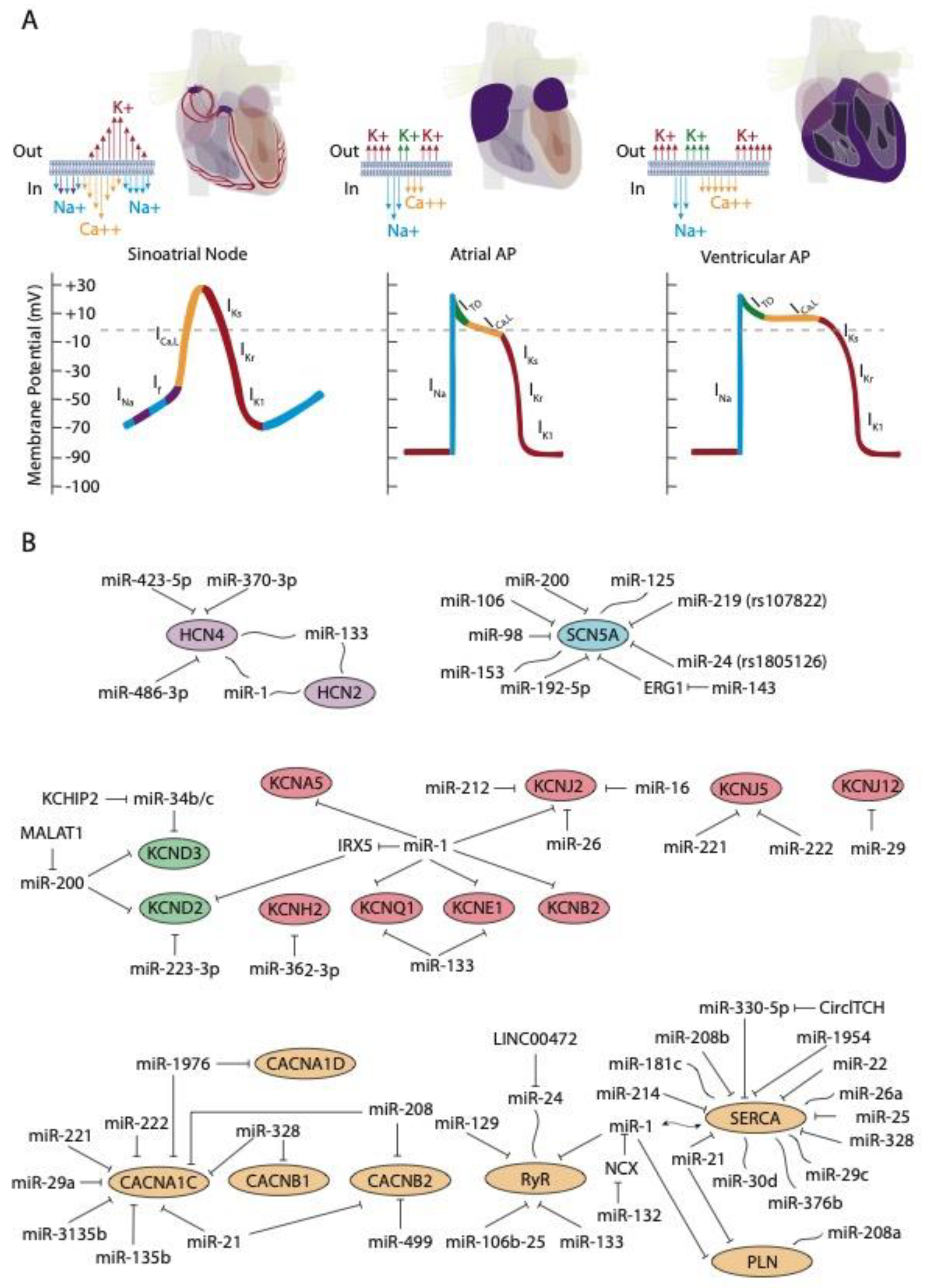 Hearts 02 00026 g001