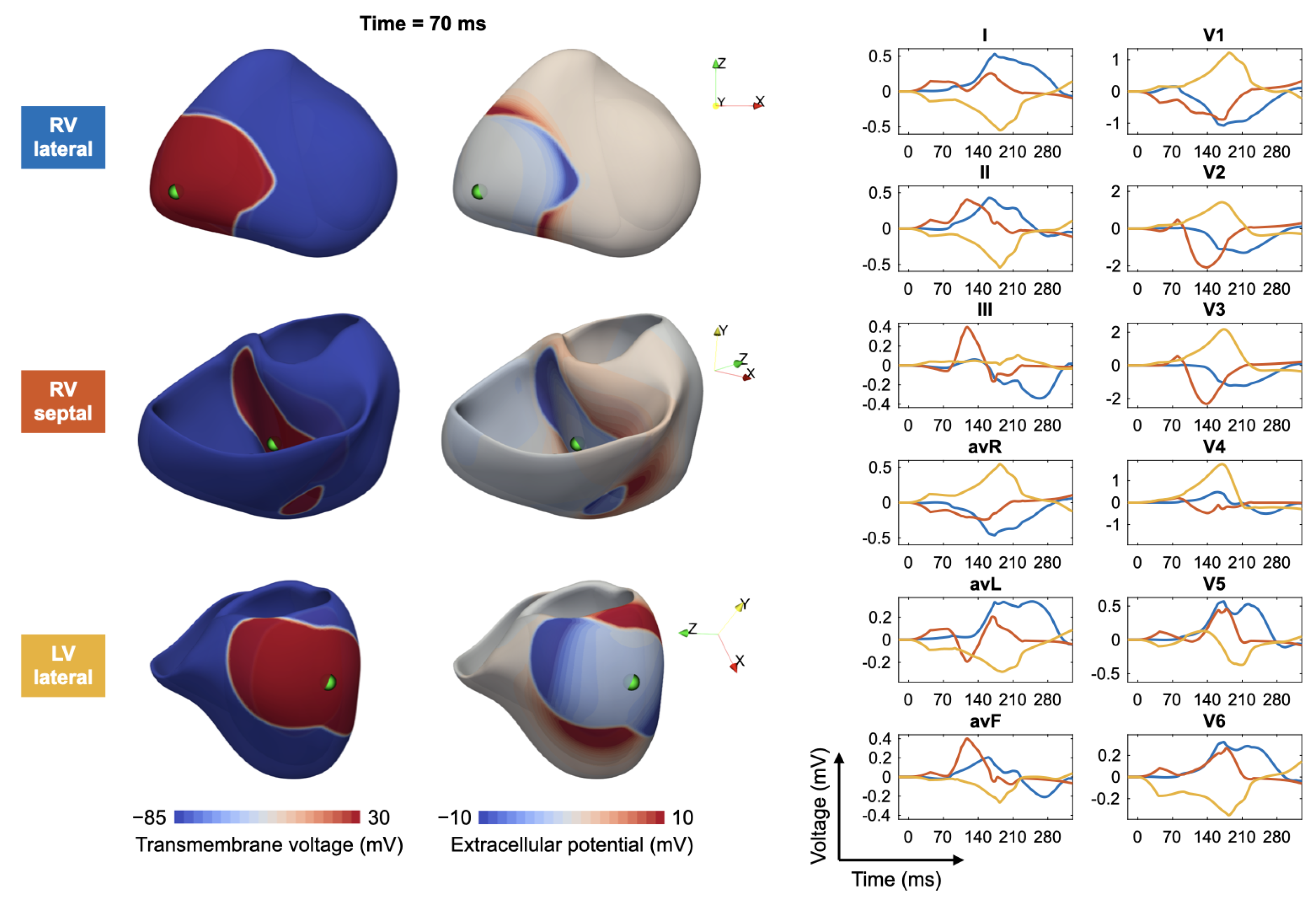 Hearts 02 00028 g003