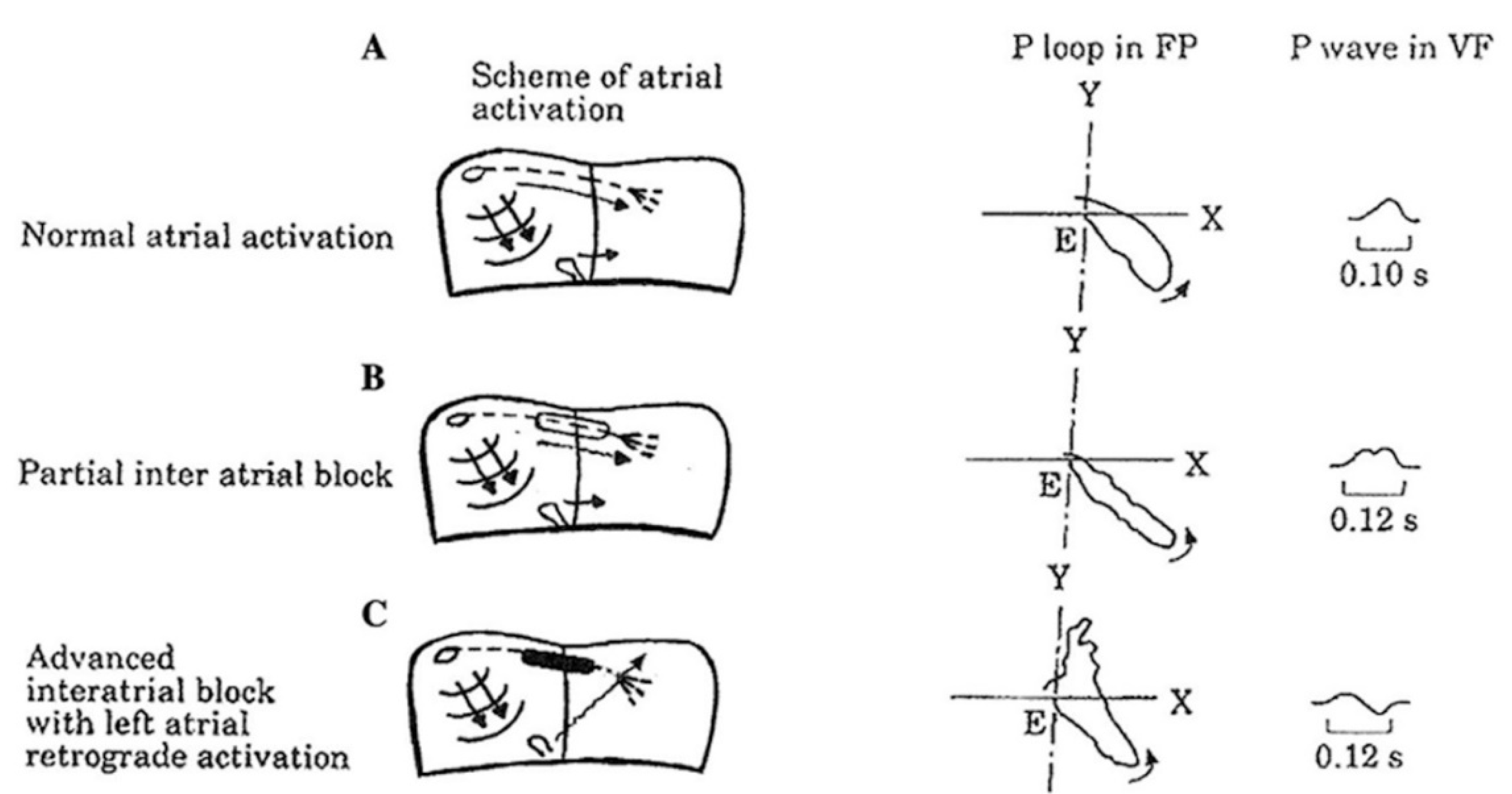 Hearts 02 00033 g001