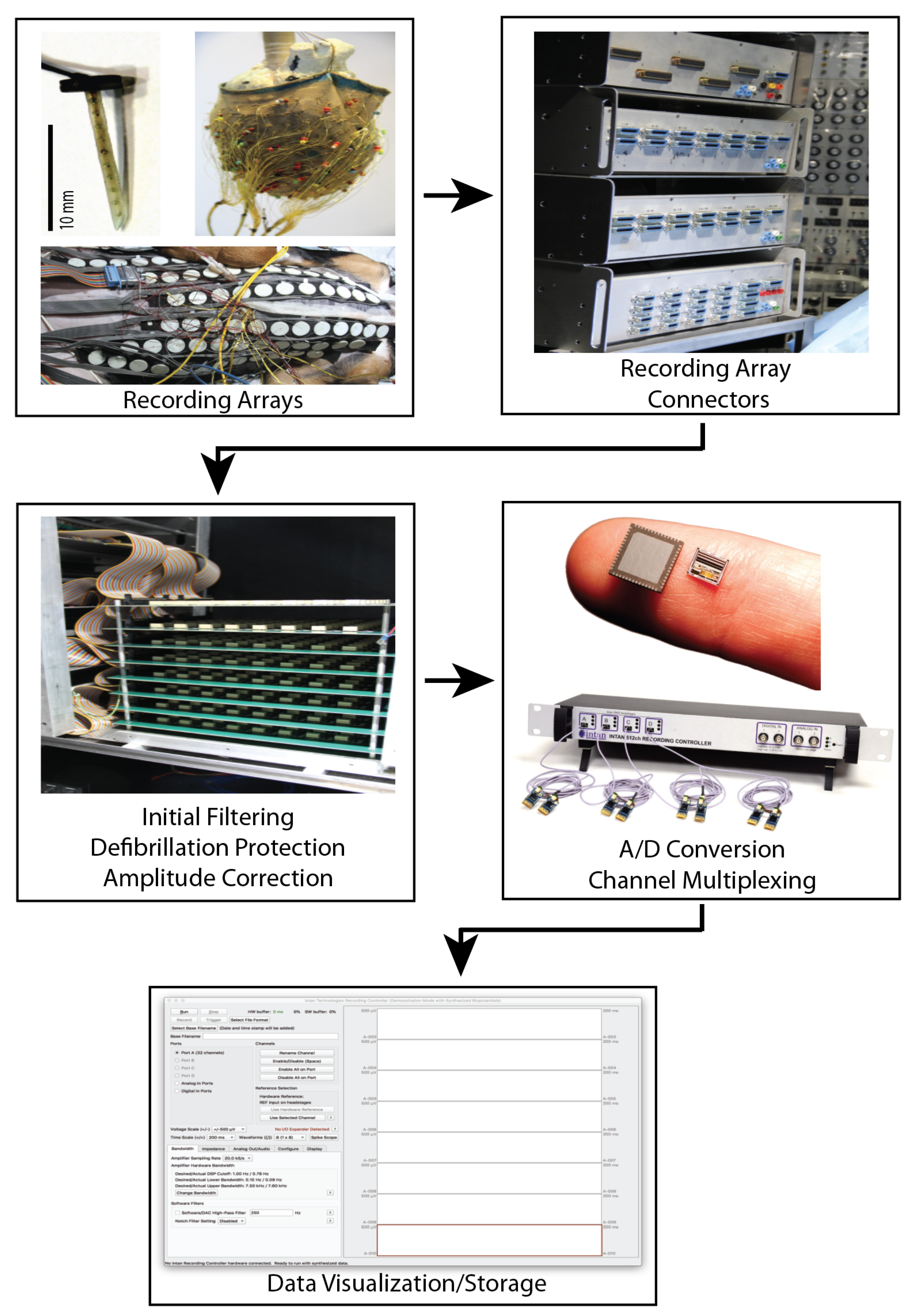 Hearts 02 00040 g004