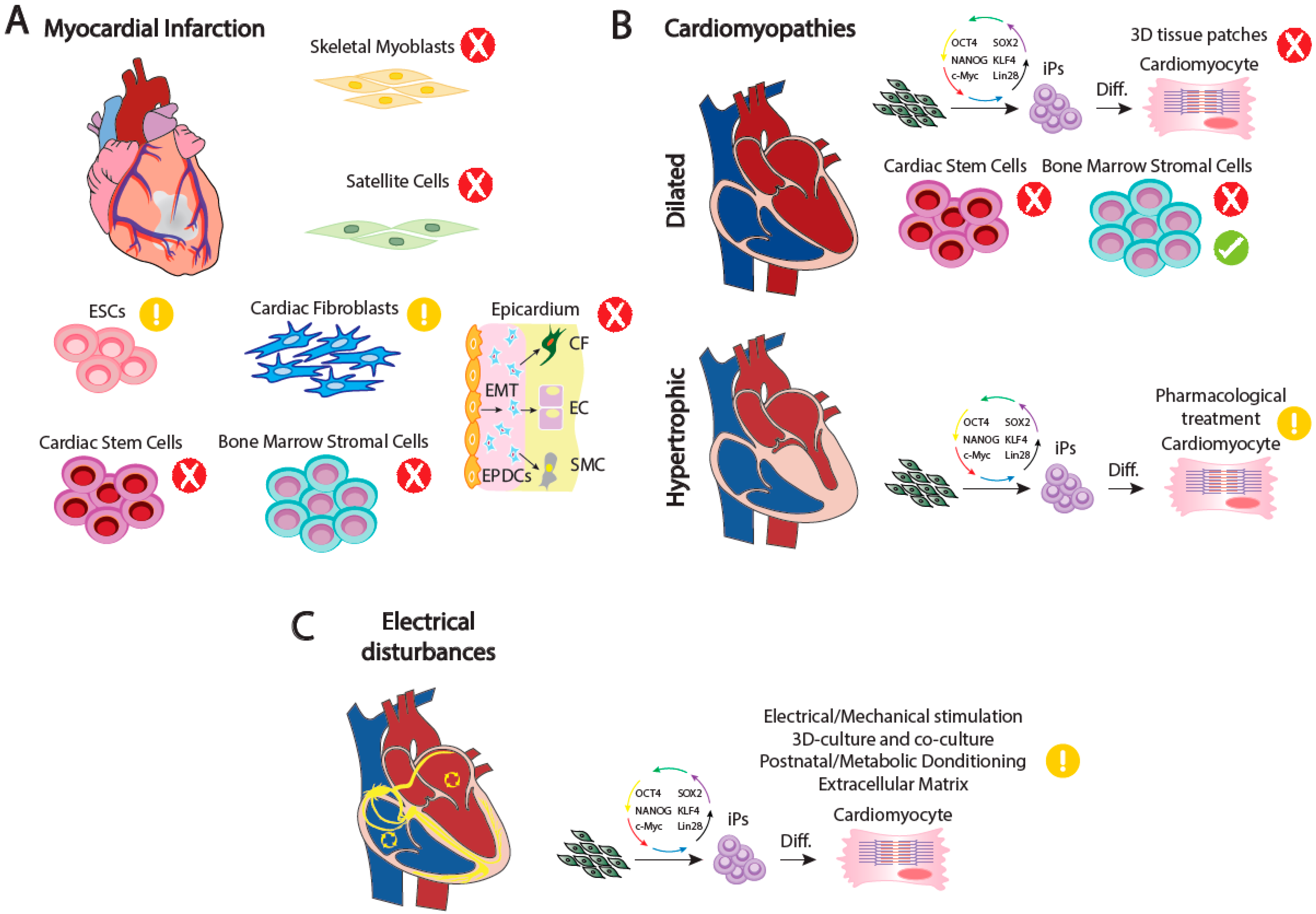 Hearts 03 00013 g002 Hearts 03 00013 g002