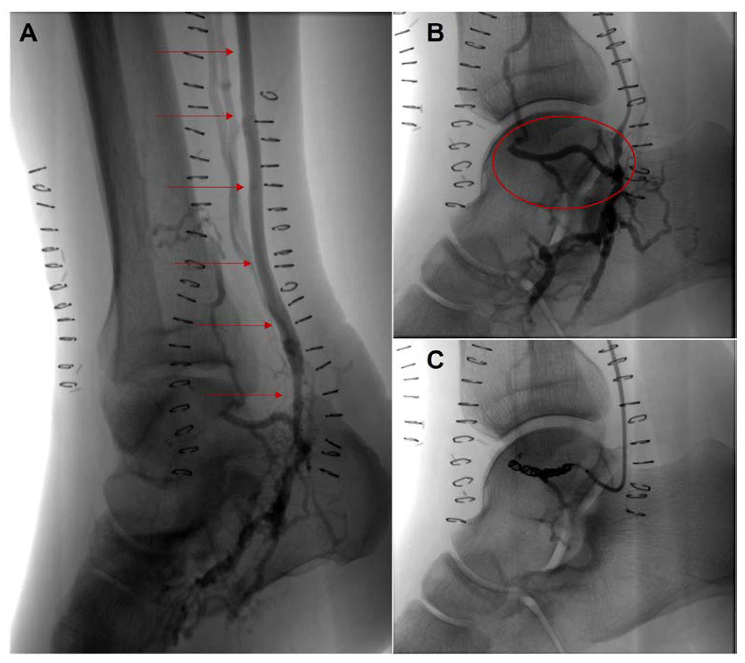 Hearts 04 00002 g003