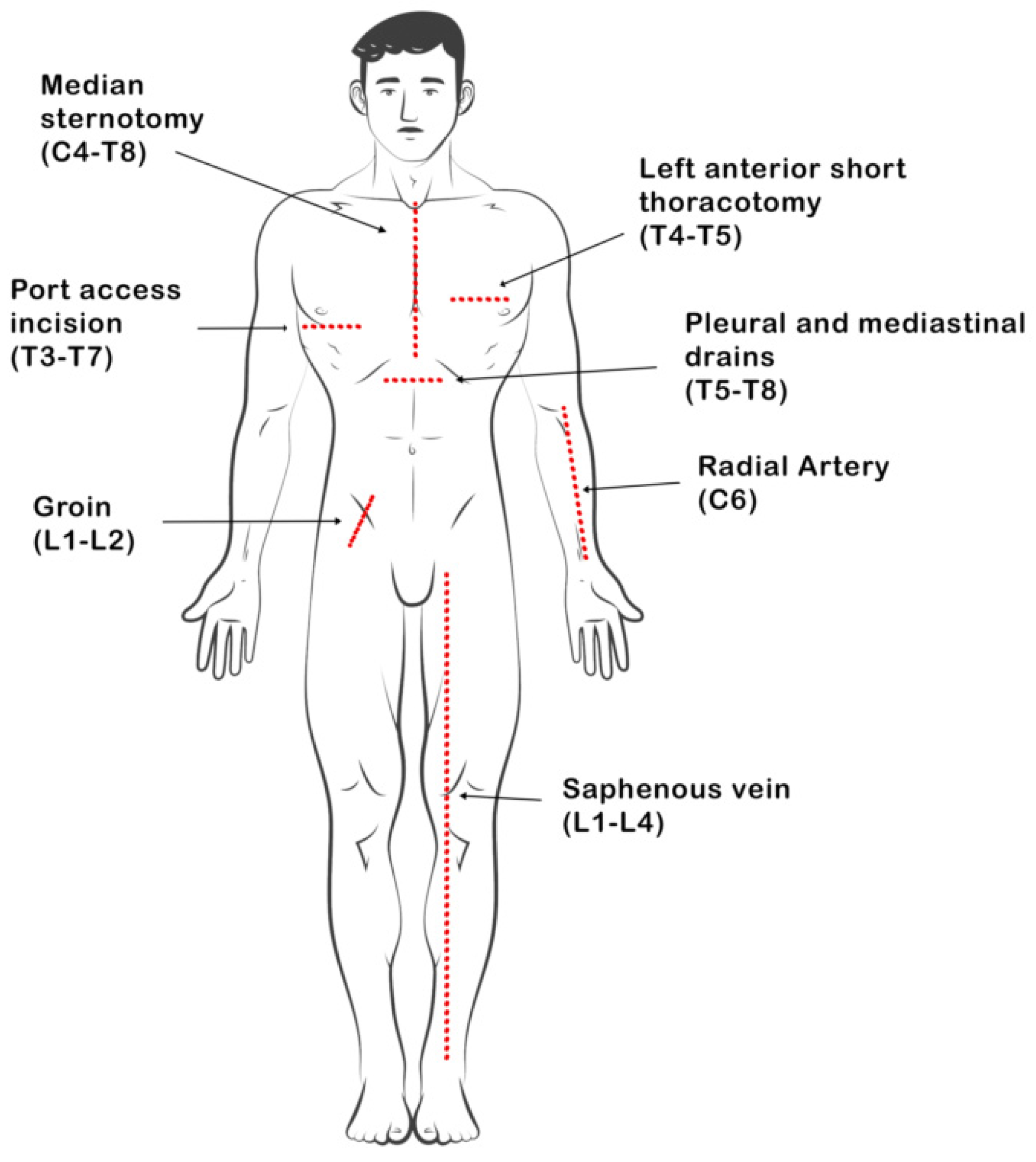 Hearts 05 00025 g001