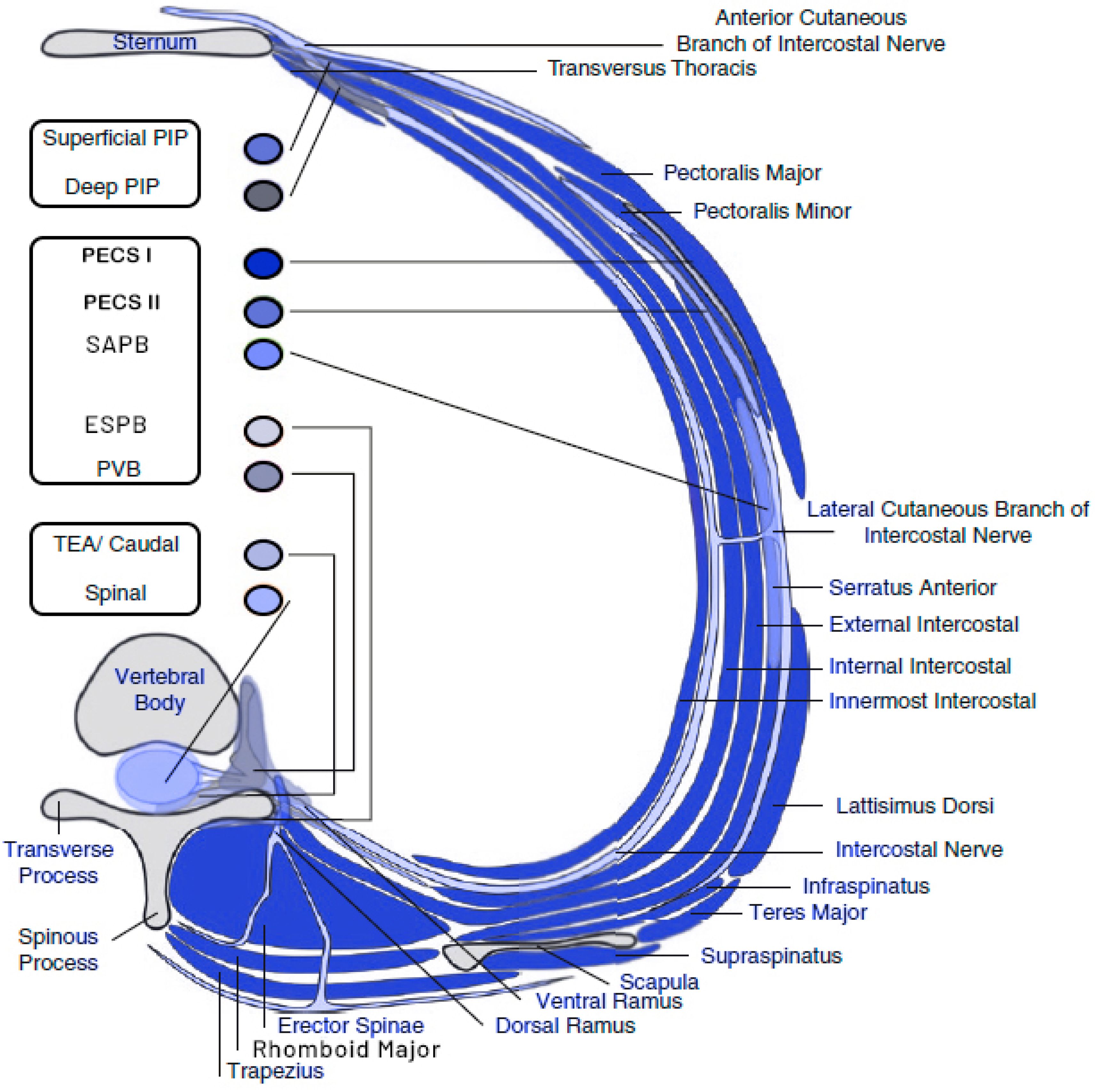 Hearts 05 00025 g003