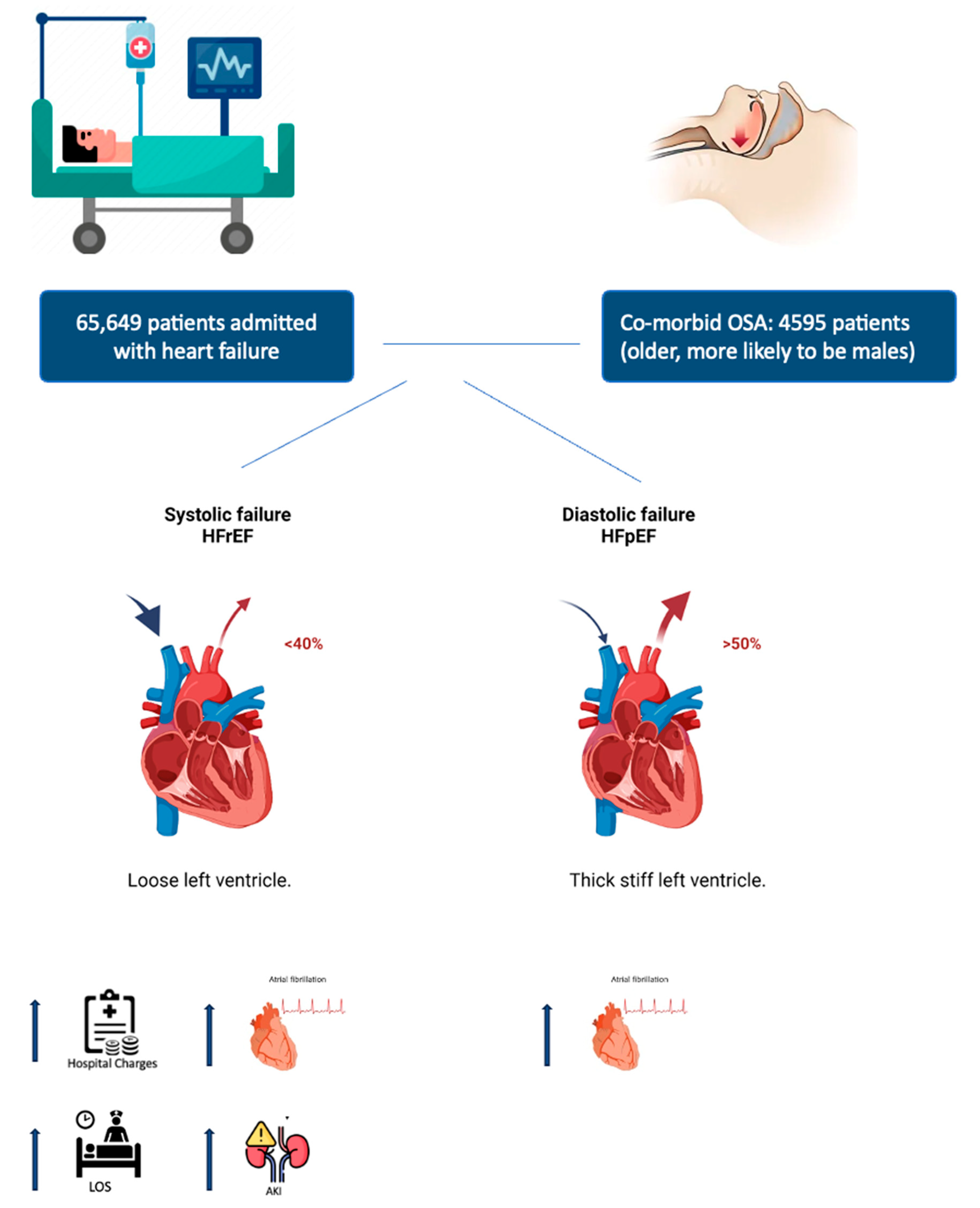 Hearts 05 00040 g001