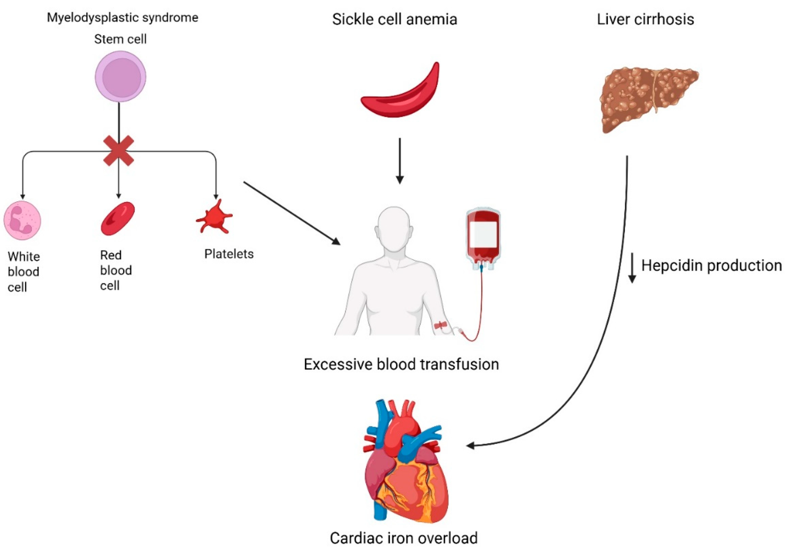 Hearts 06 00017 g002