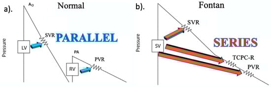 Hearts 06 00030 g003