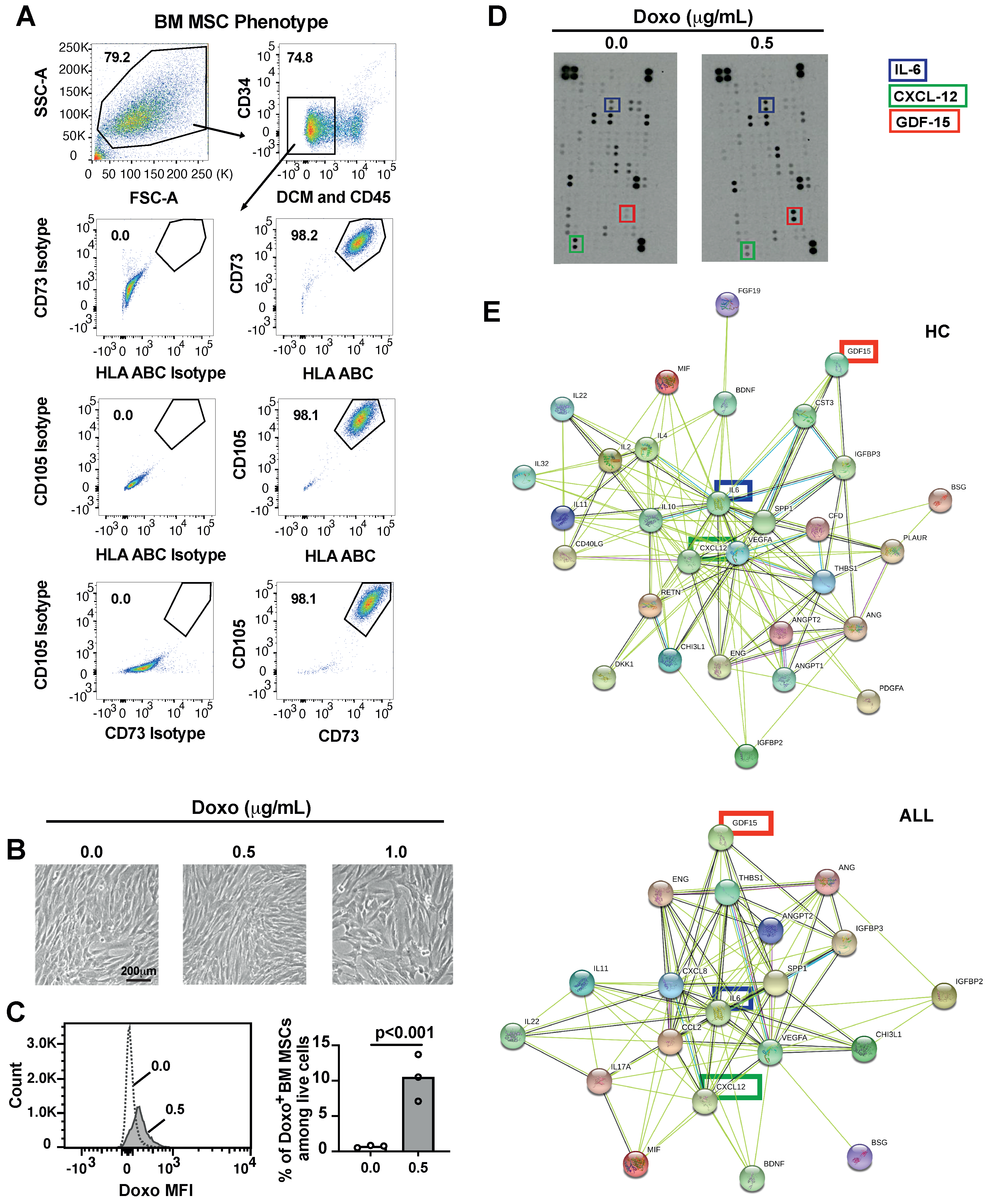 Hemato 02 00009 g001